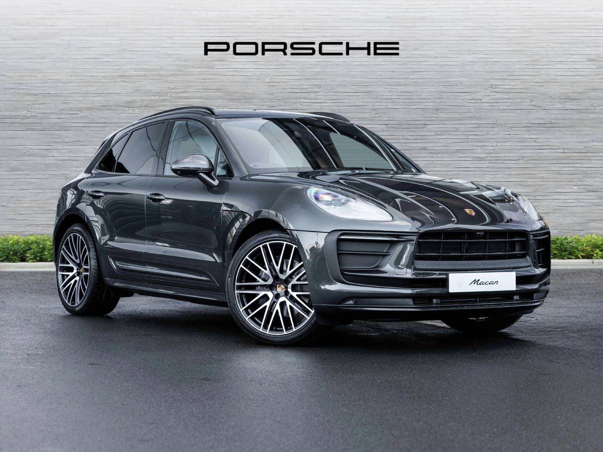 Macan, photo 1 of 40