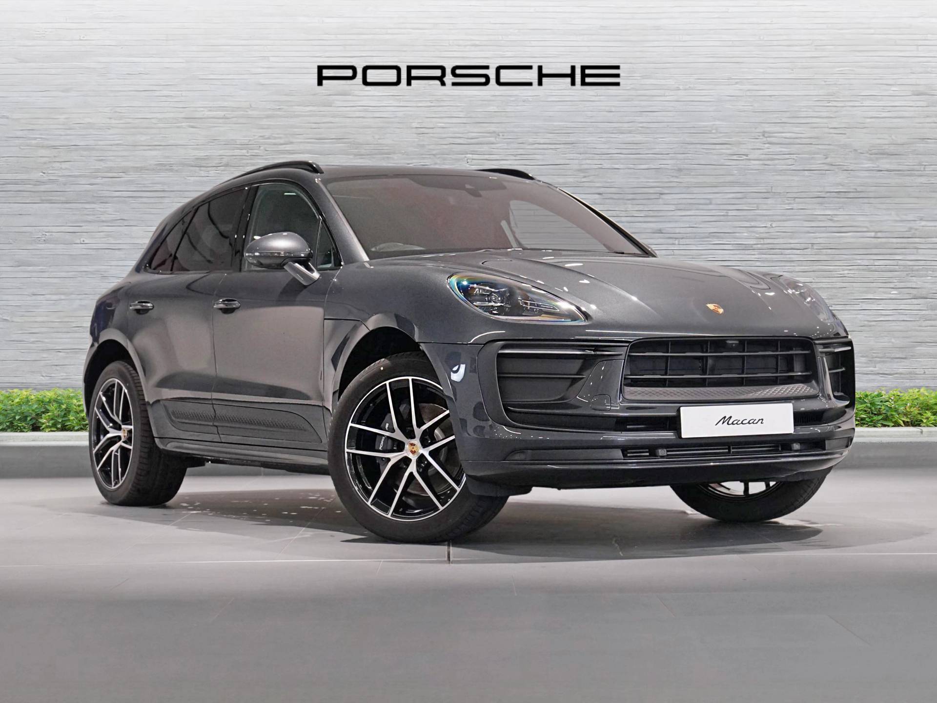 Macan, photo 1 of 59