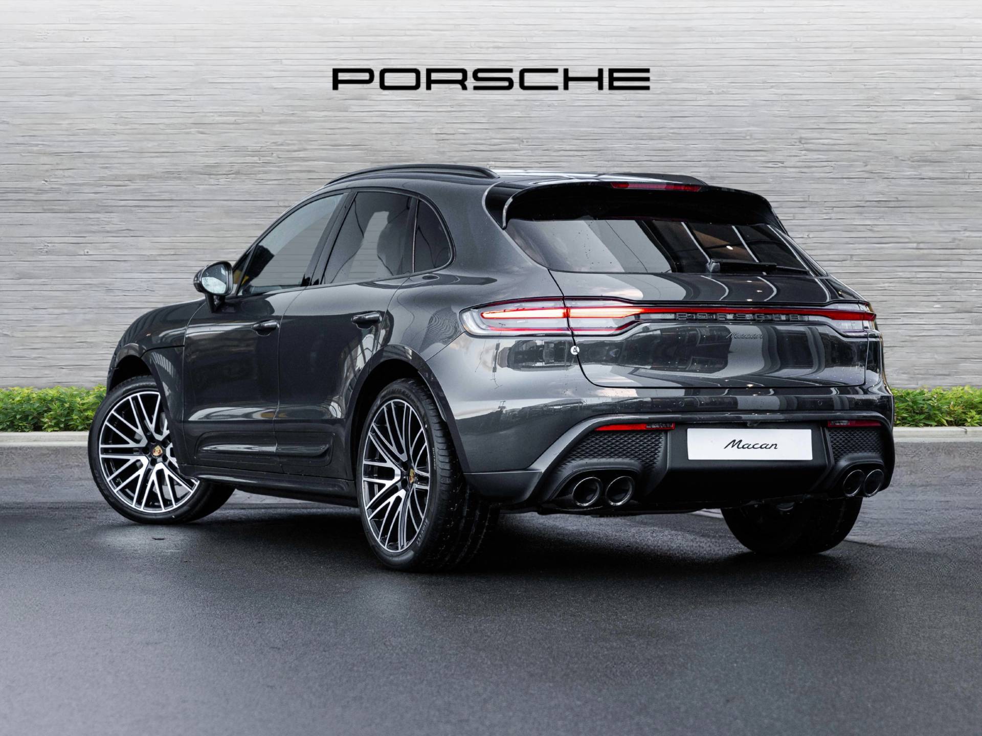 Macan, photo 2 of 40