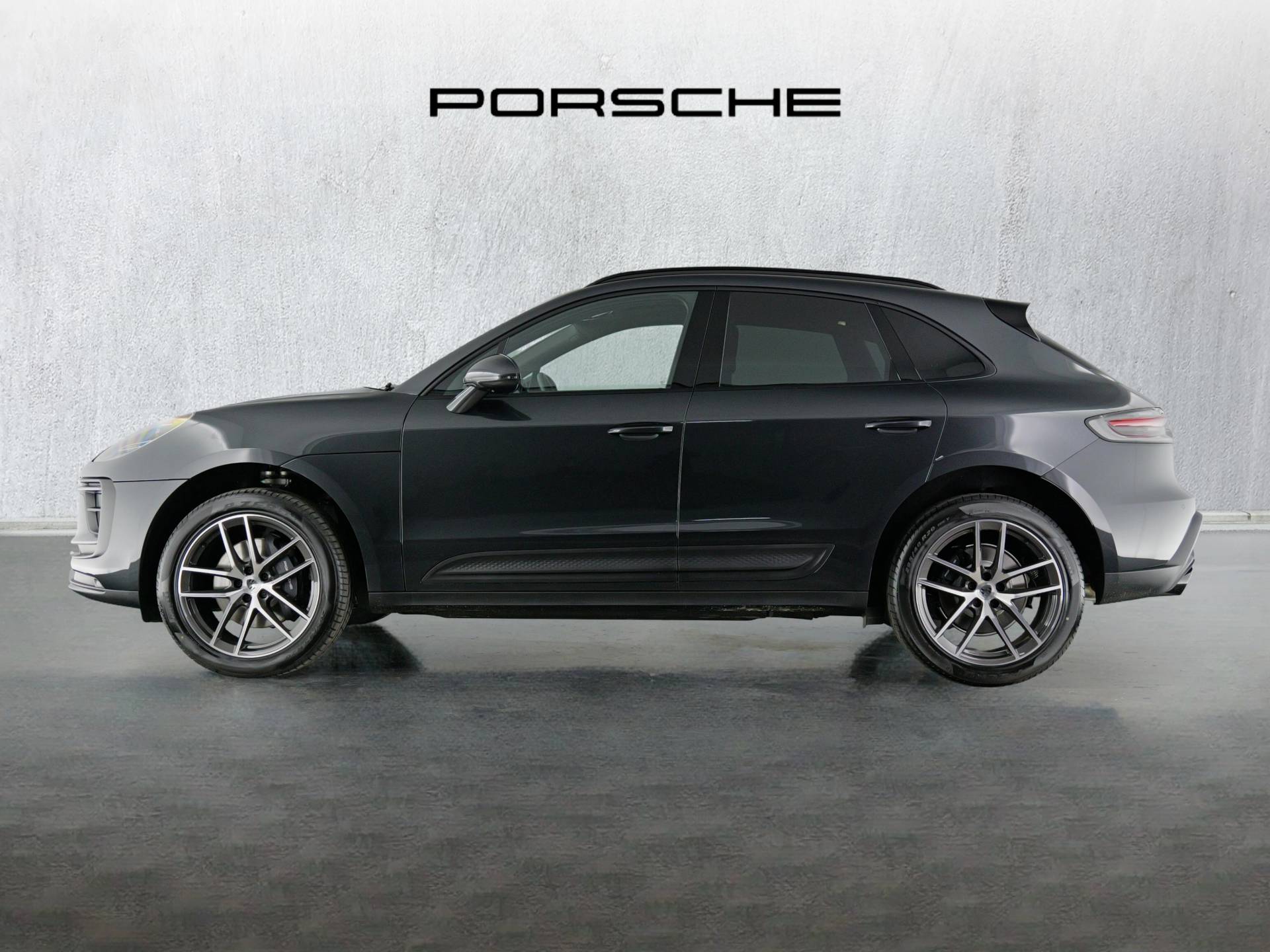 Macan, photo 2 of 35
