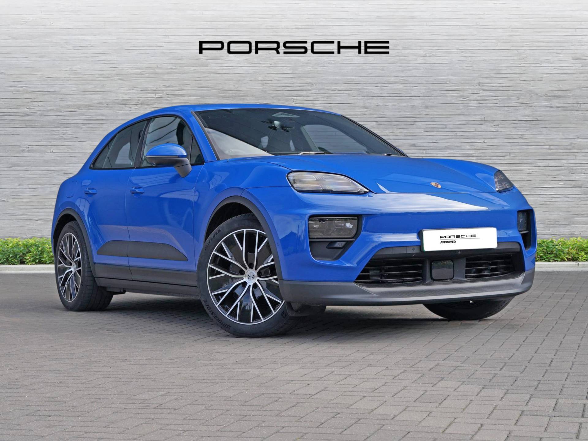 Macan, photo 1 of 51