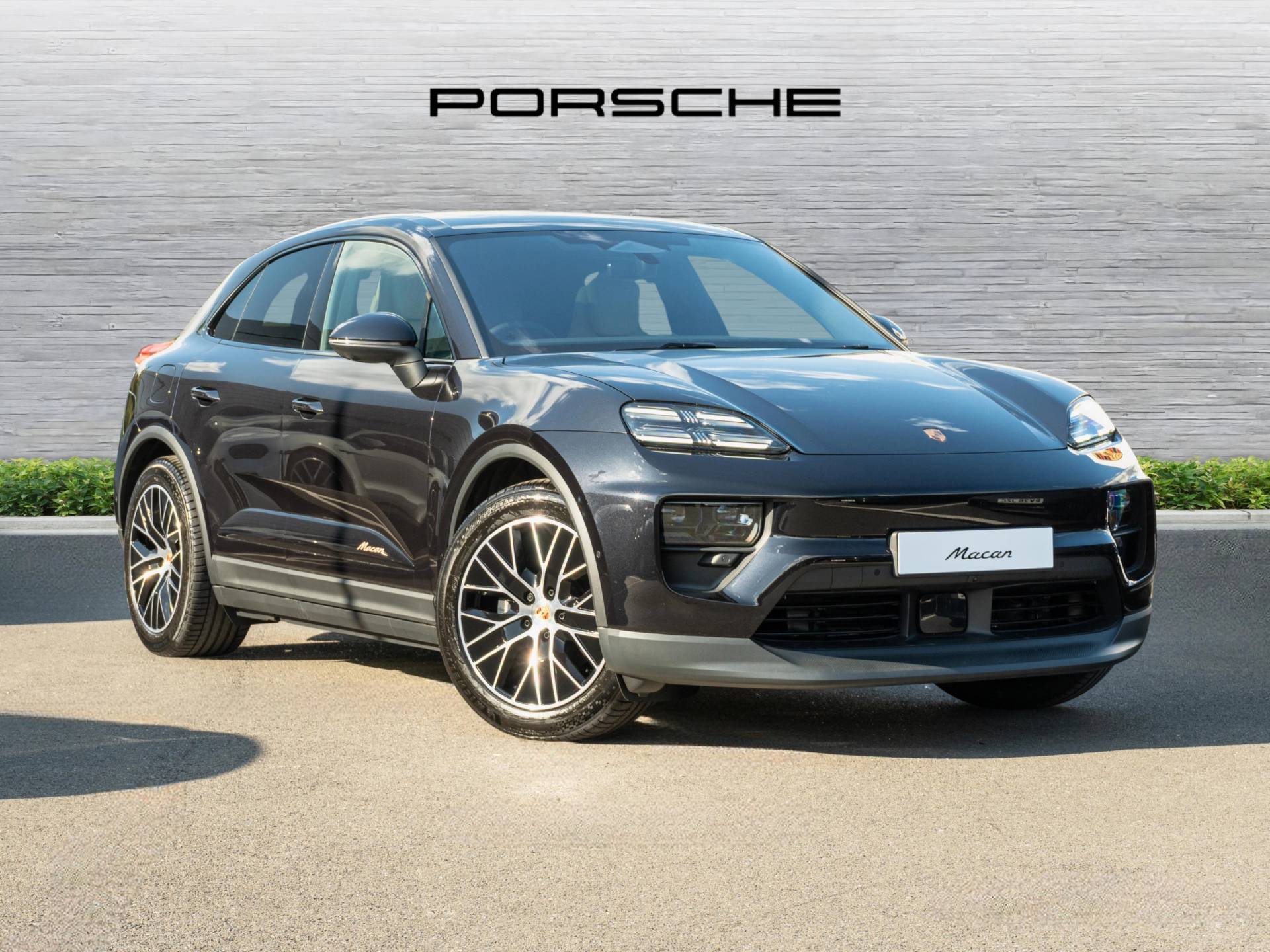 Macan, photo 1 of 46