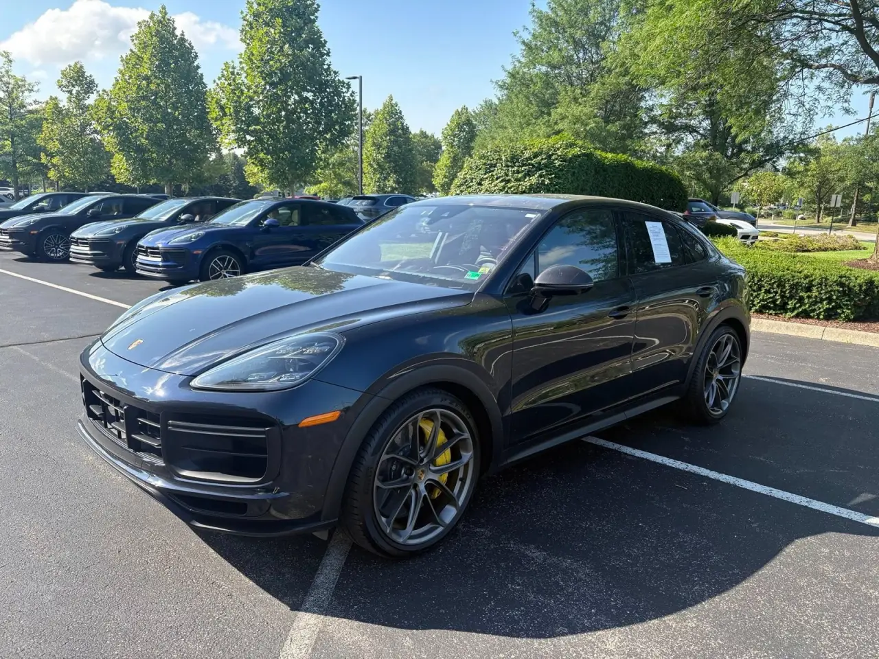 Photo 8