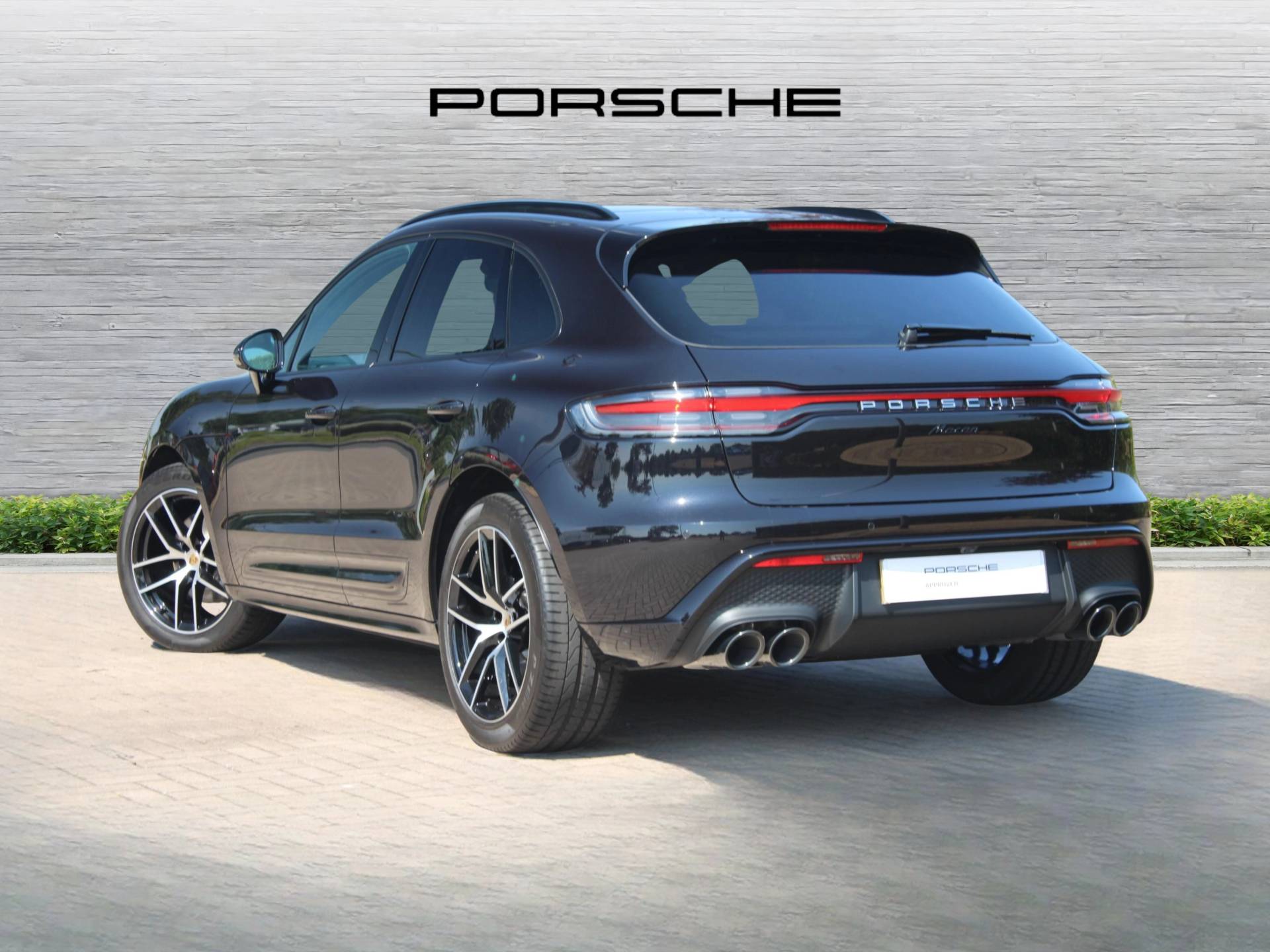 Macan, photo 2 of 51