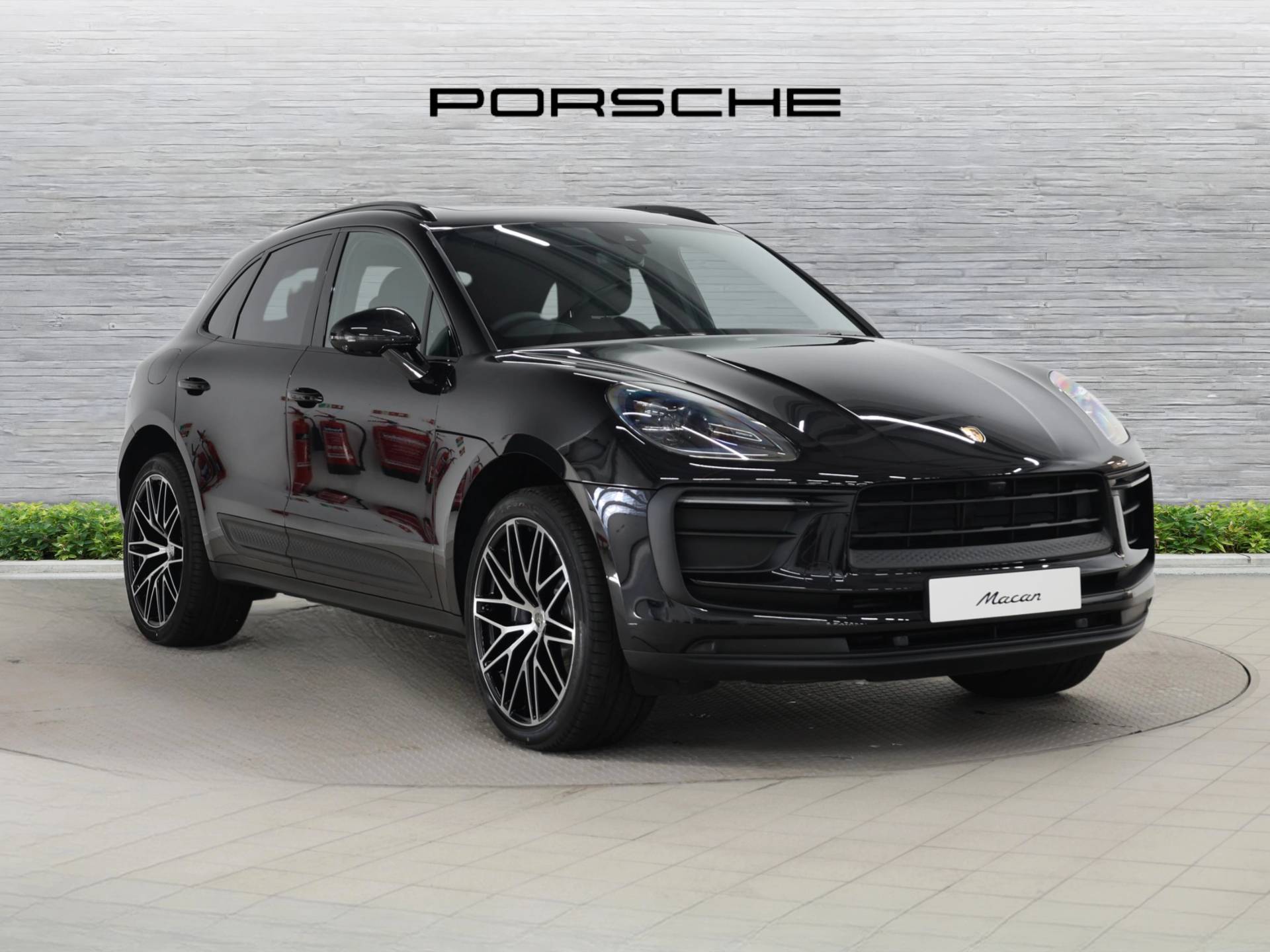 Macan, photo 1 of 43