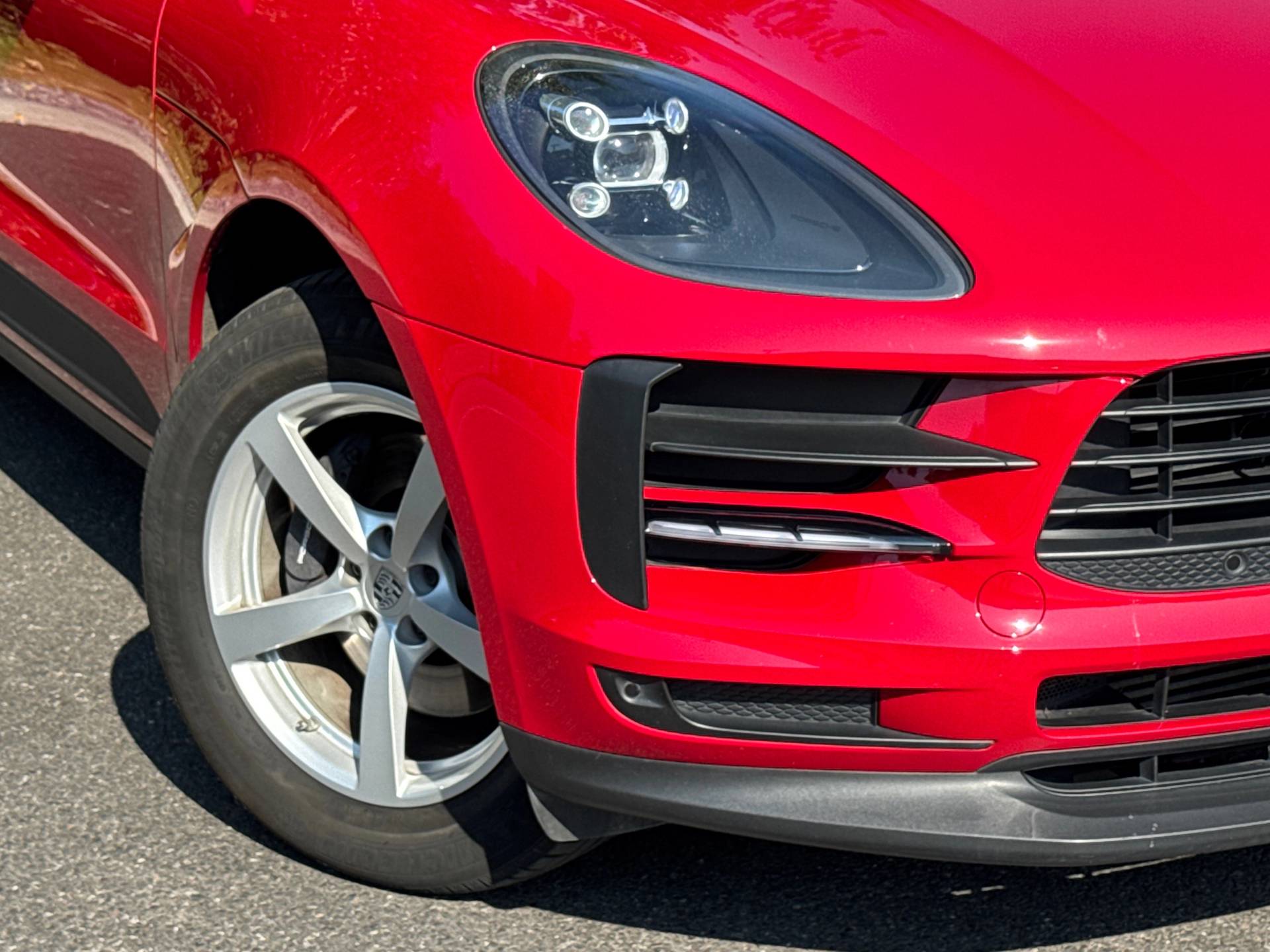 Macan, photo 34 of 34