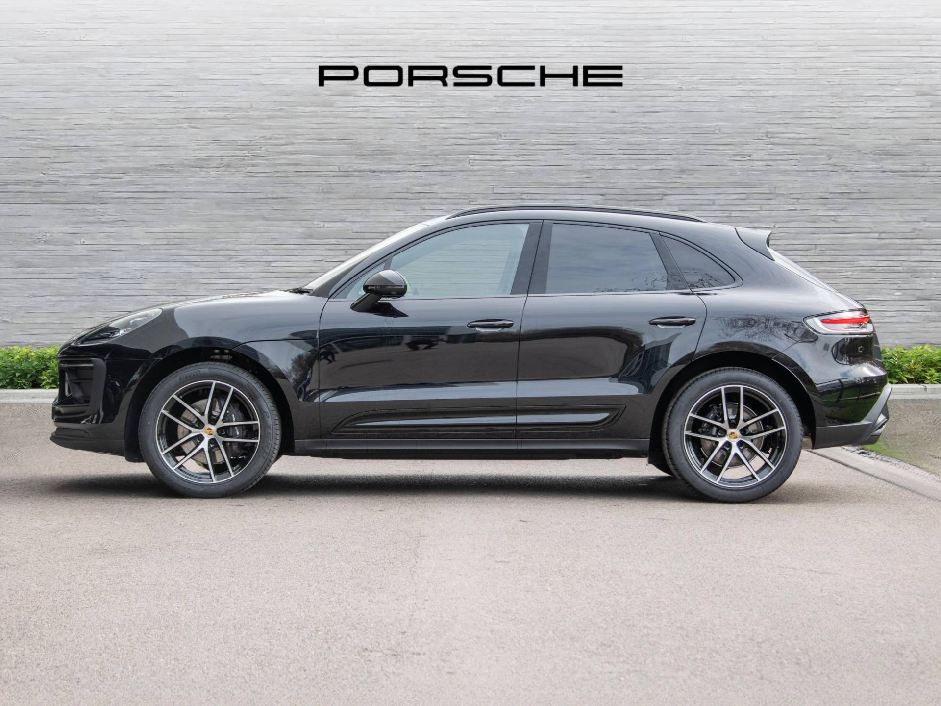 Macan, photo 2 of 65