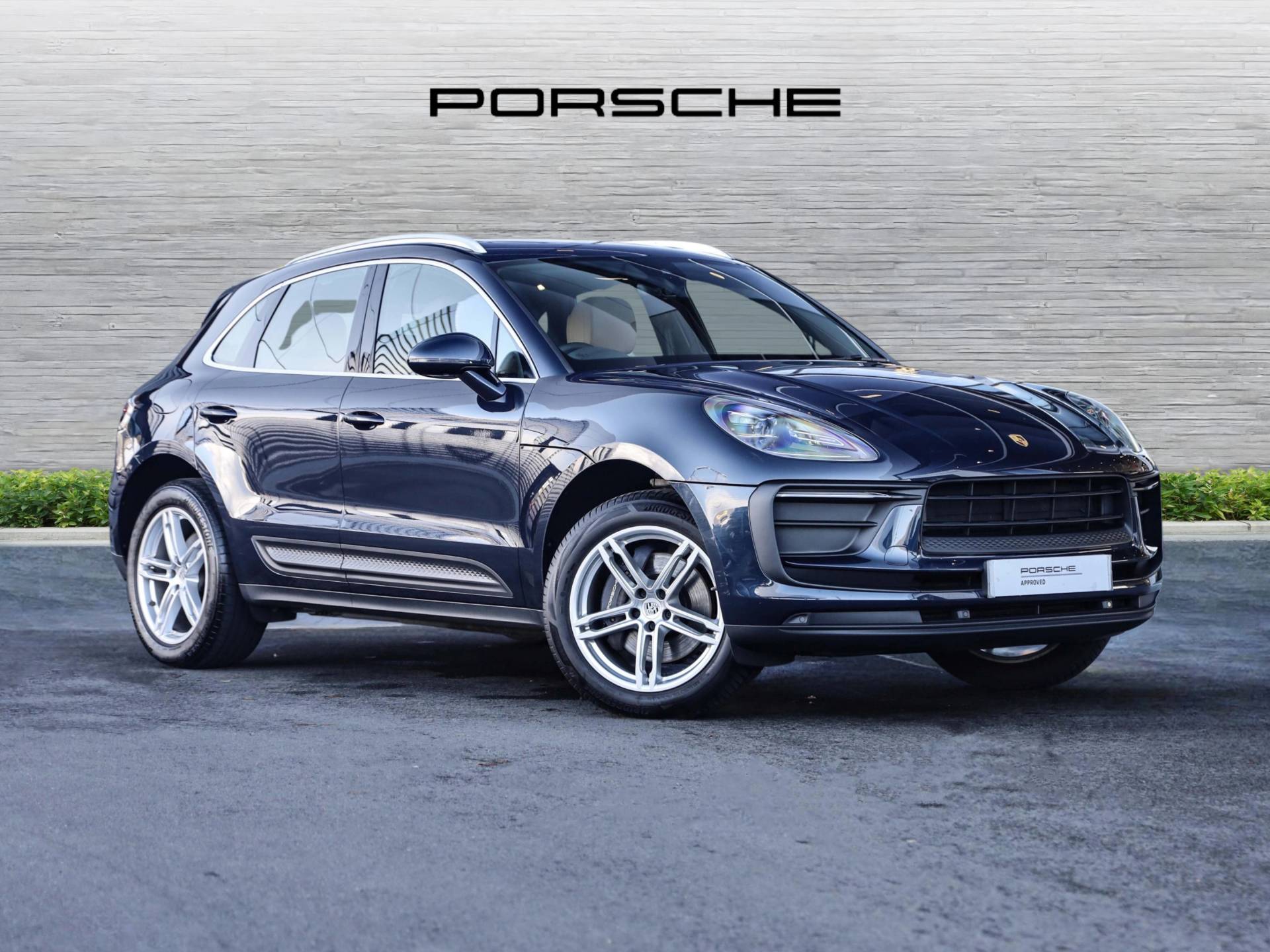 Macan, photo 1 of 31