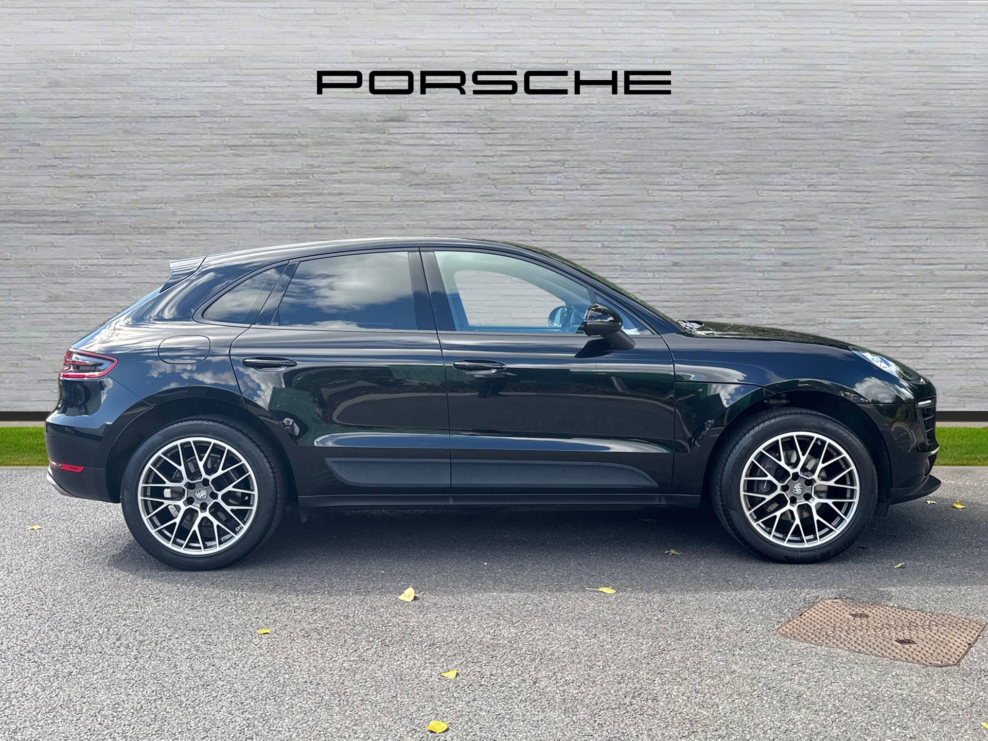 Macan, photo 2 of 37