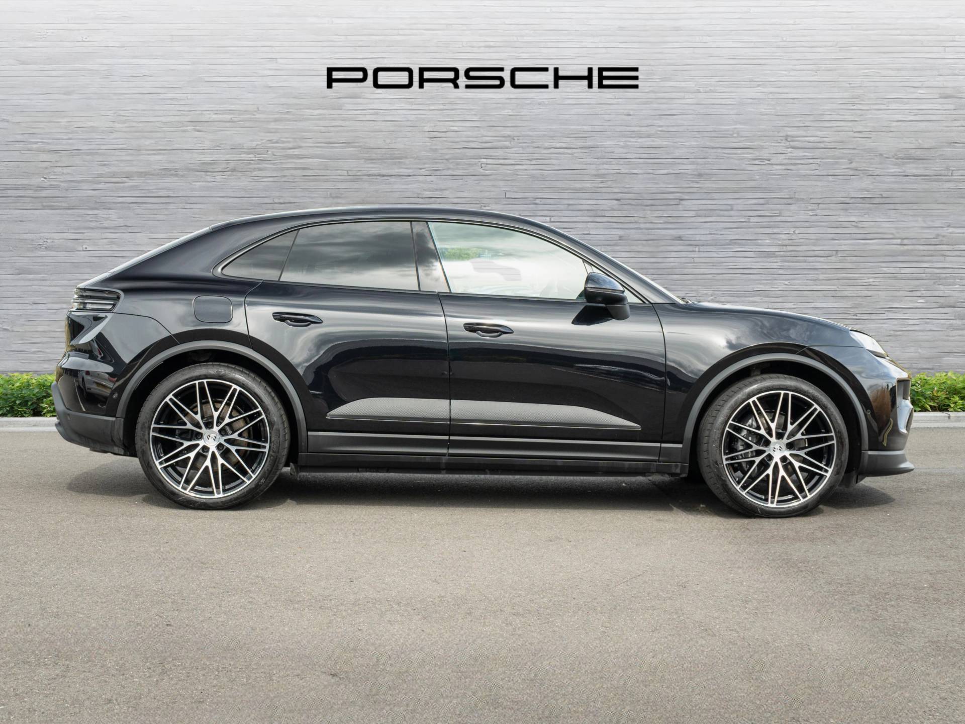 Macan 4, photo 2 of 45