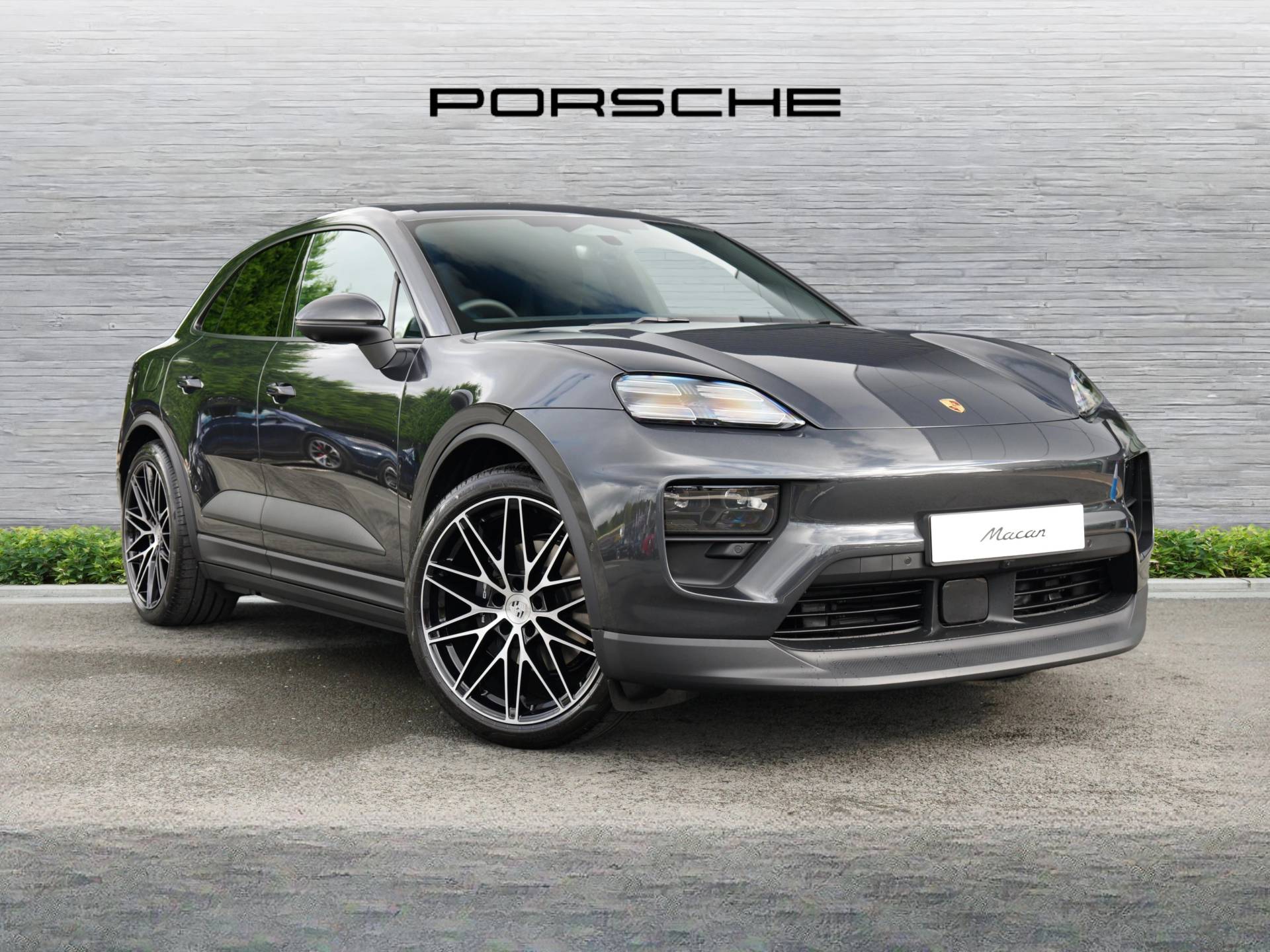 Macan, photo 1 of 40