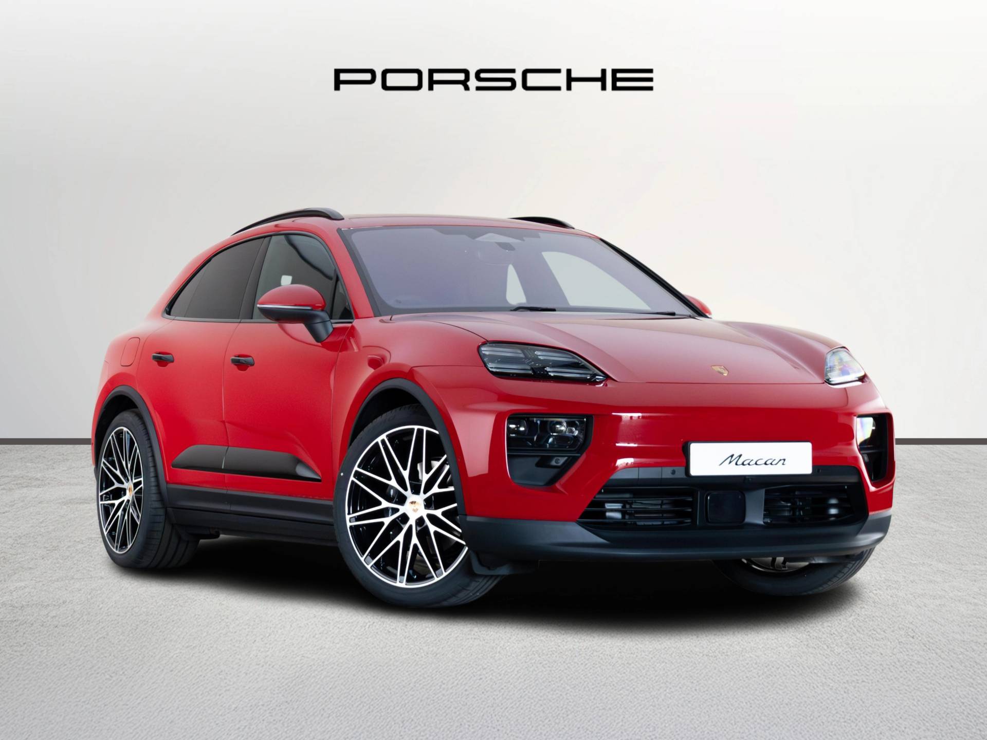 Macan, photo 1 of 34