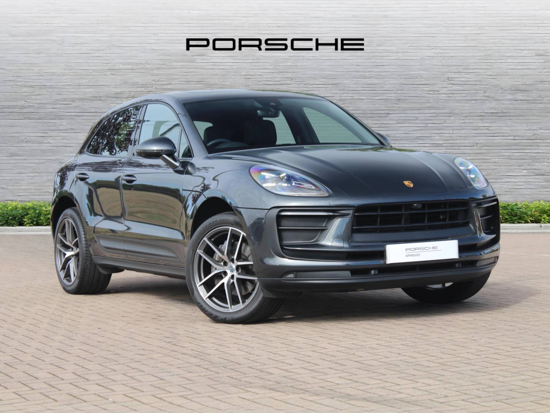 Macan, photo 1 of 53