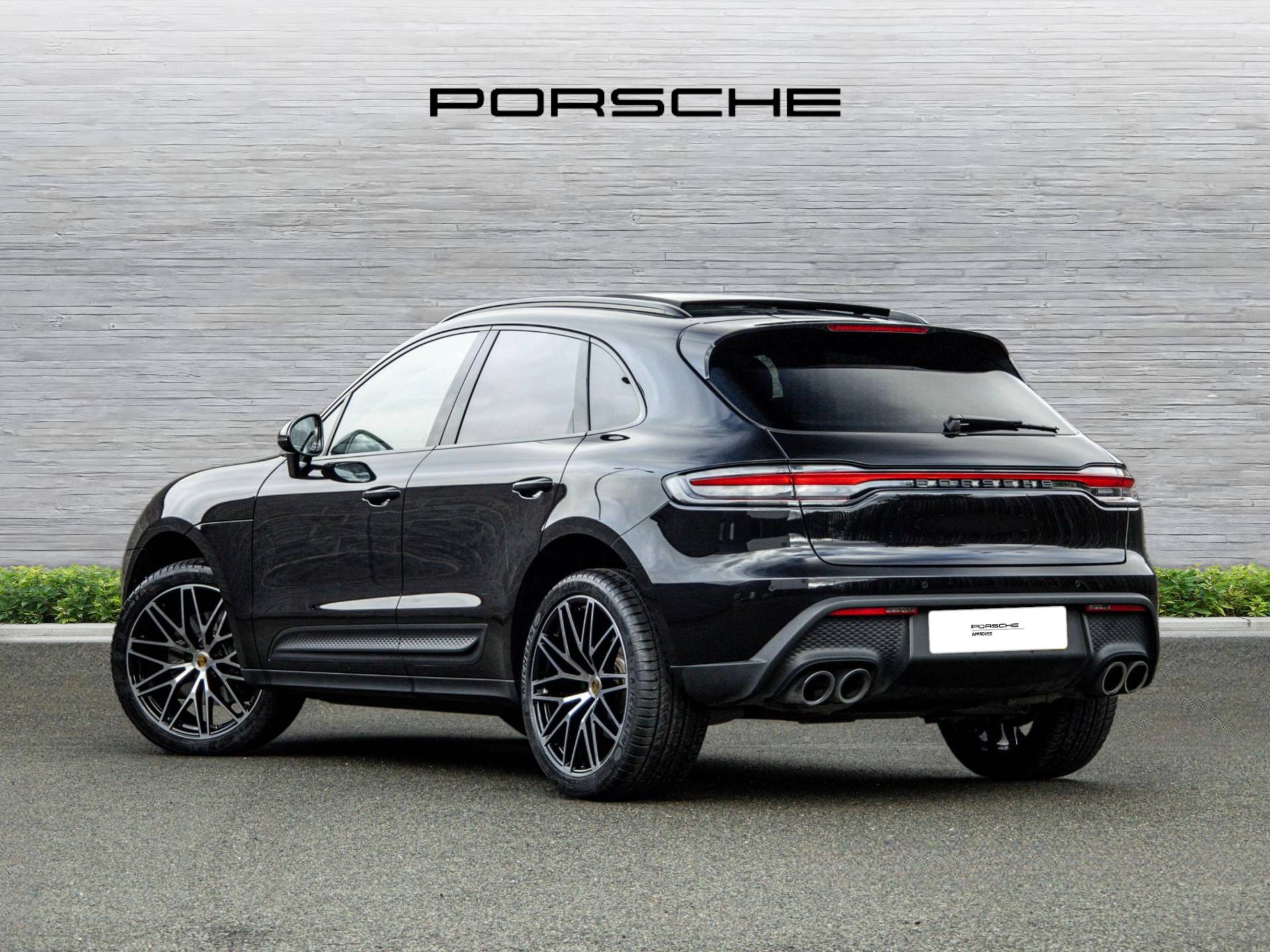 Macan, photo 2 of 42