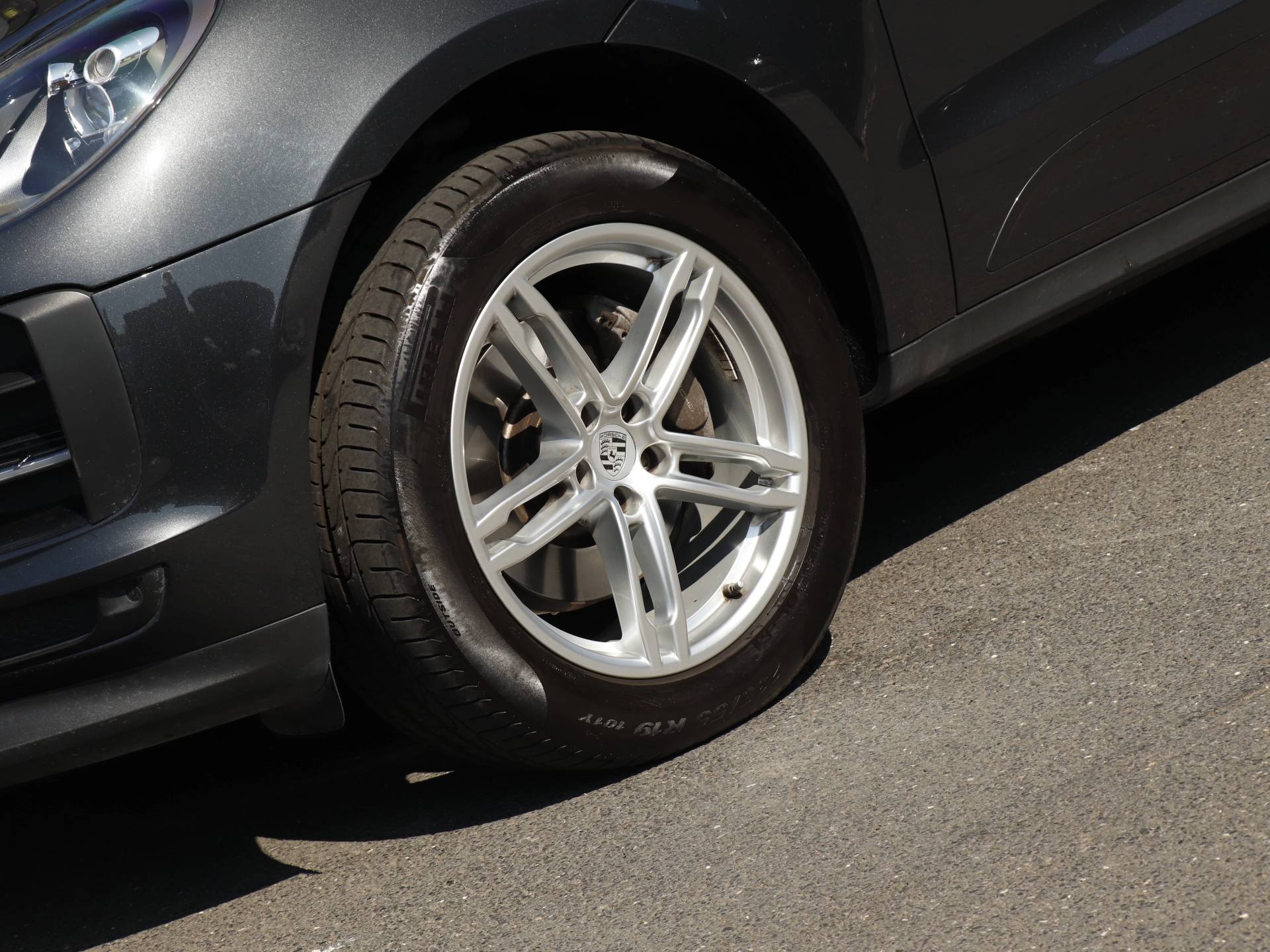 Macan, photo 35 of 35