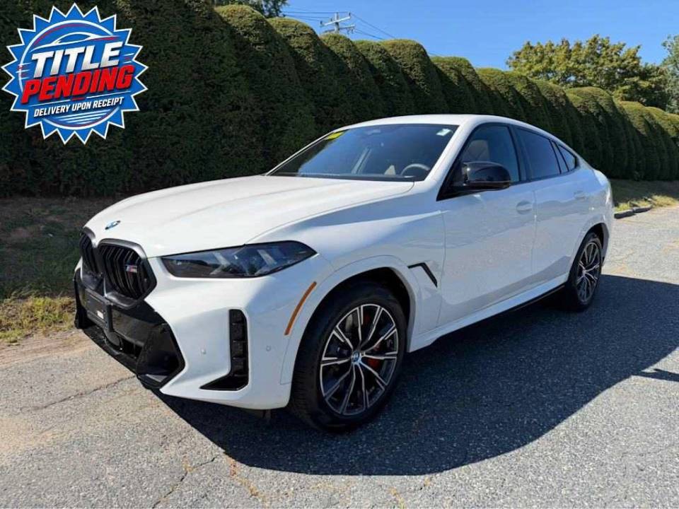 2026 BMW X6