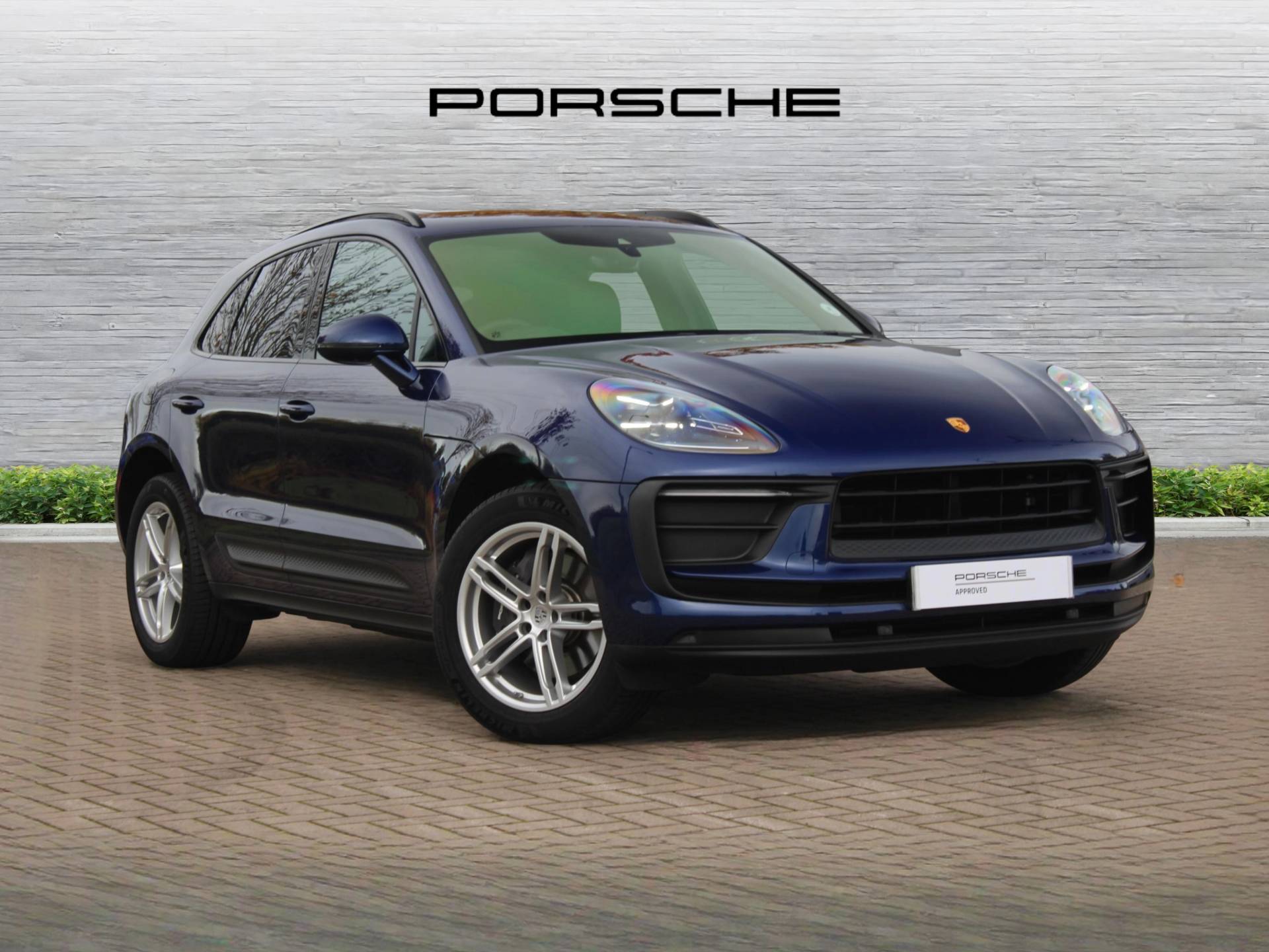 Macan, photo 1 of 44
