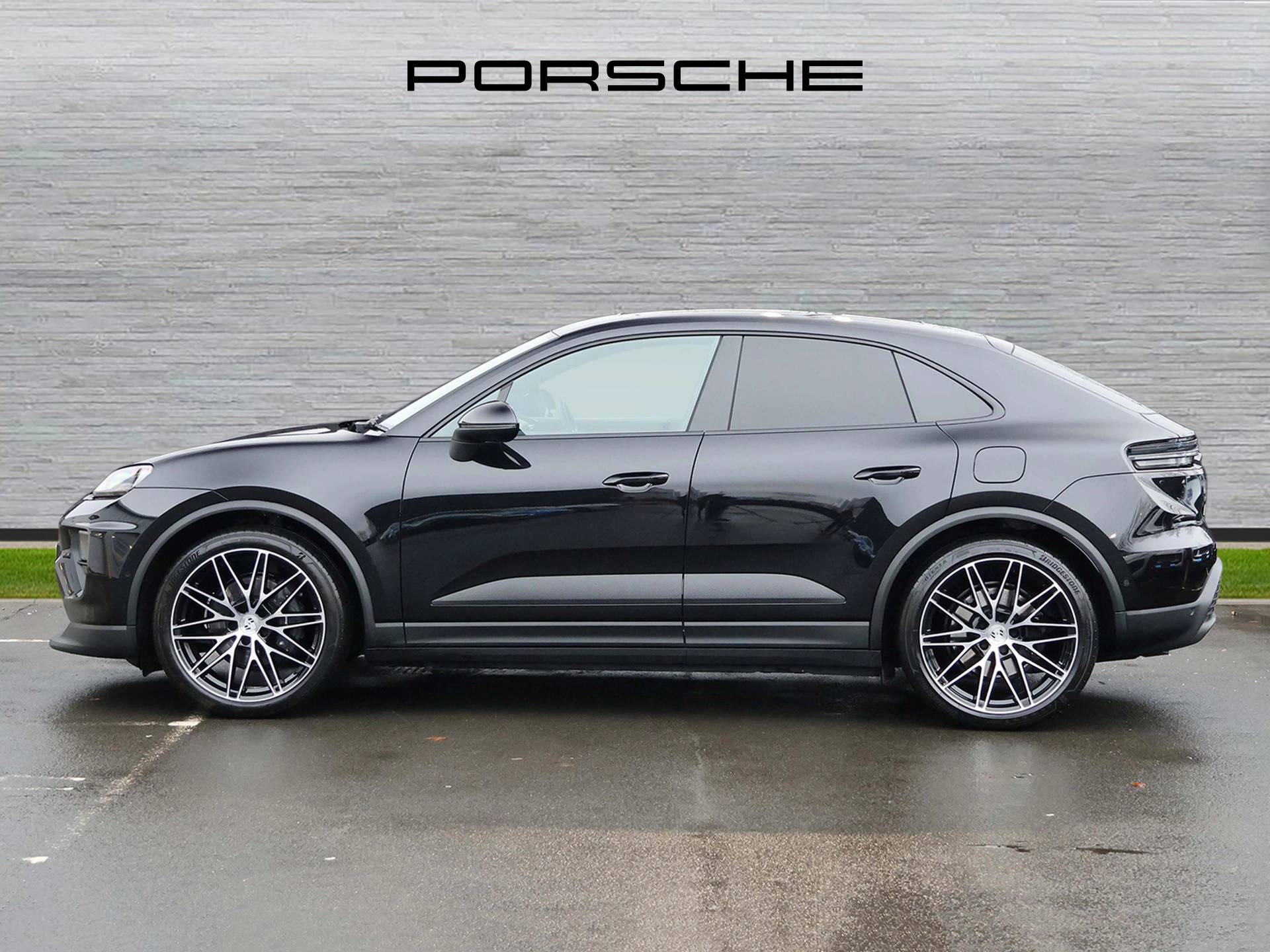 Macan, photo 2 of 33