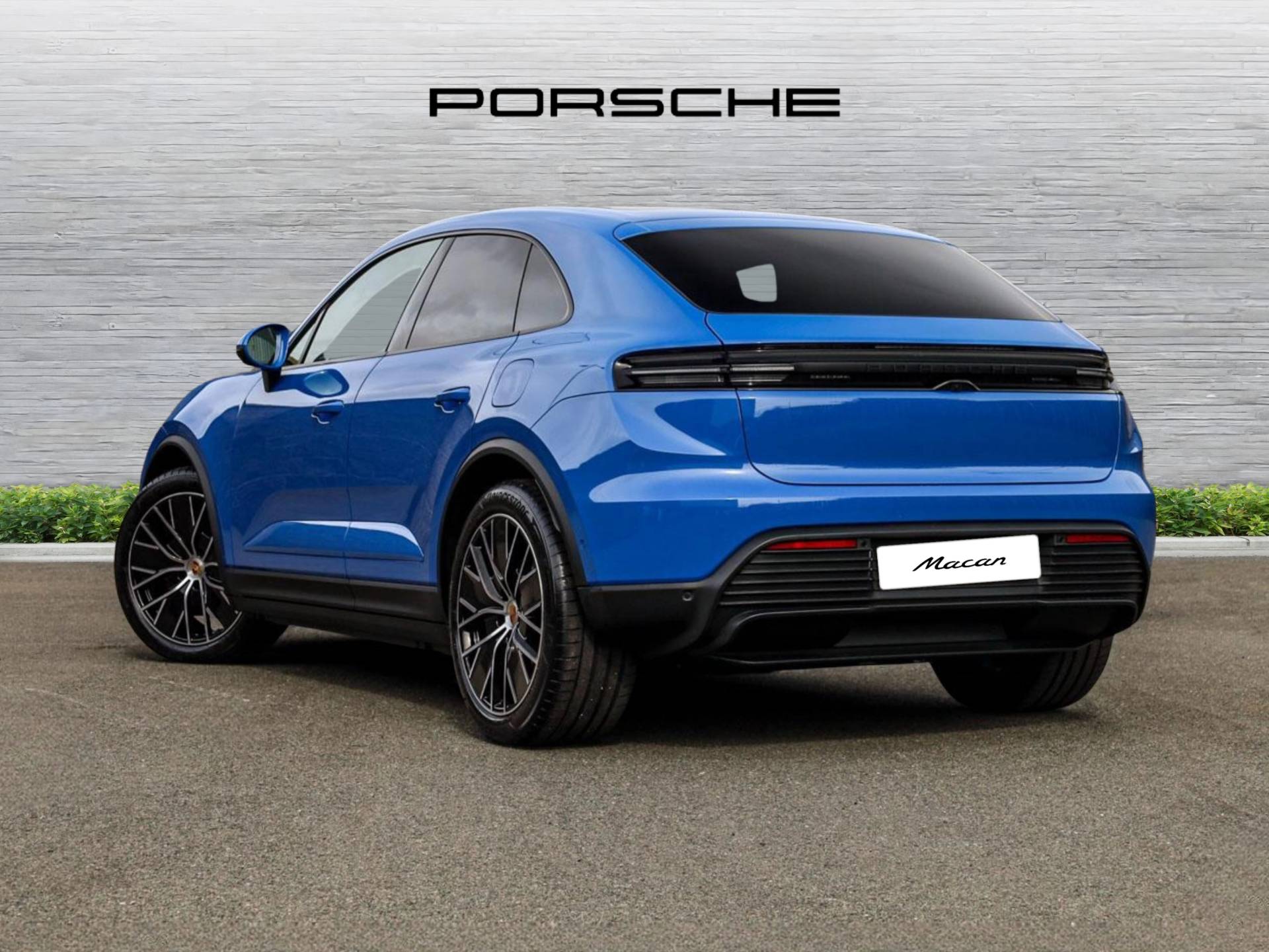 Macan, photo 2 of 46