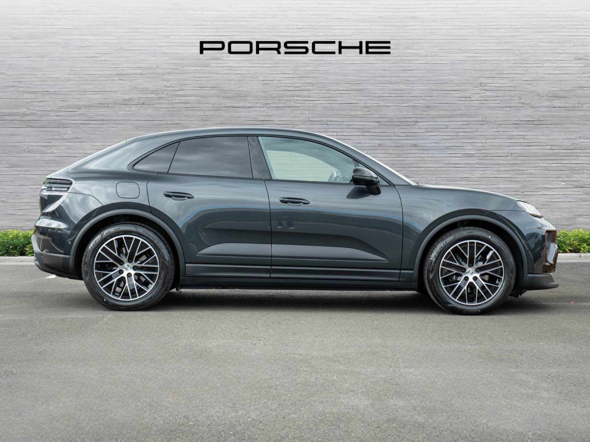 Macan, photo 2 of 49
