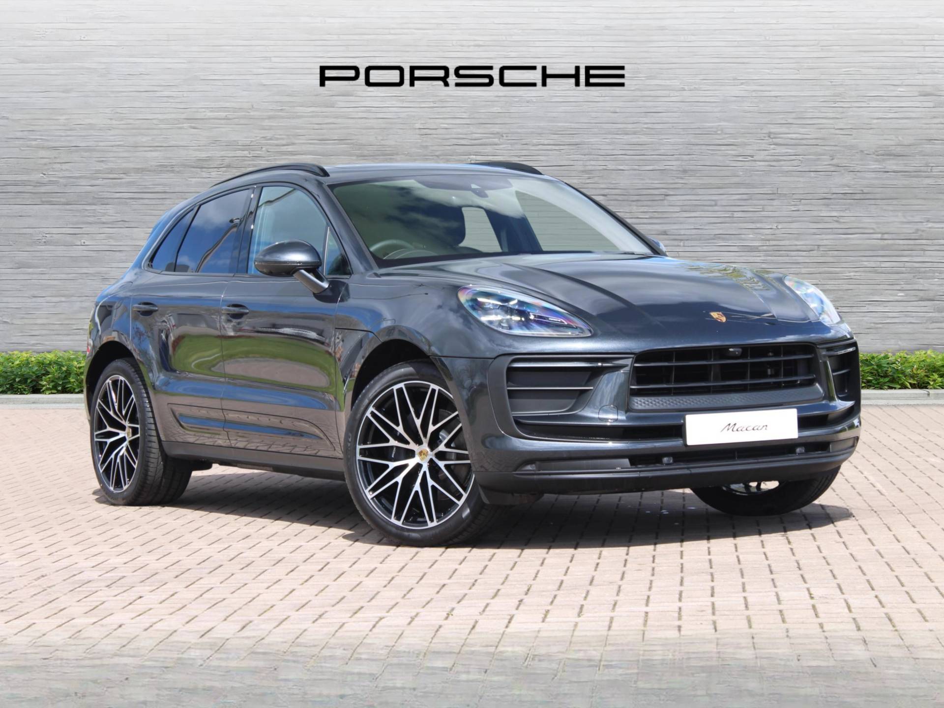 Macan, photo 1 of 39