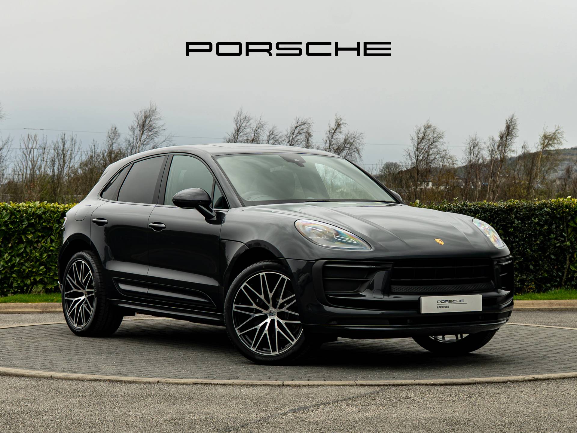 Macan, photo 1 of 40