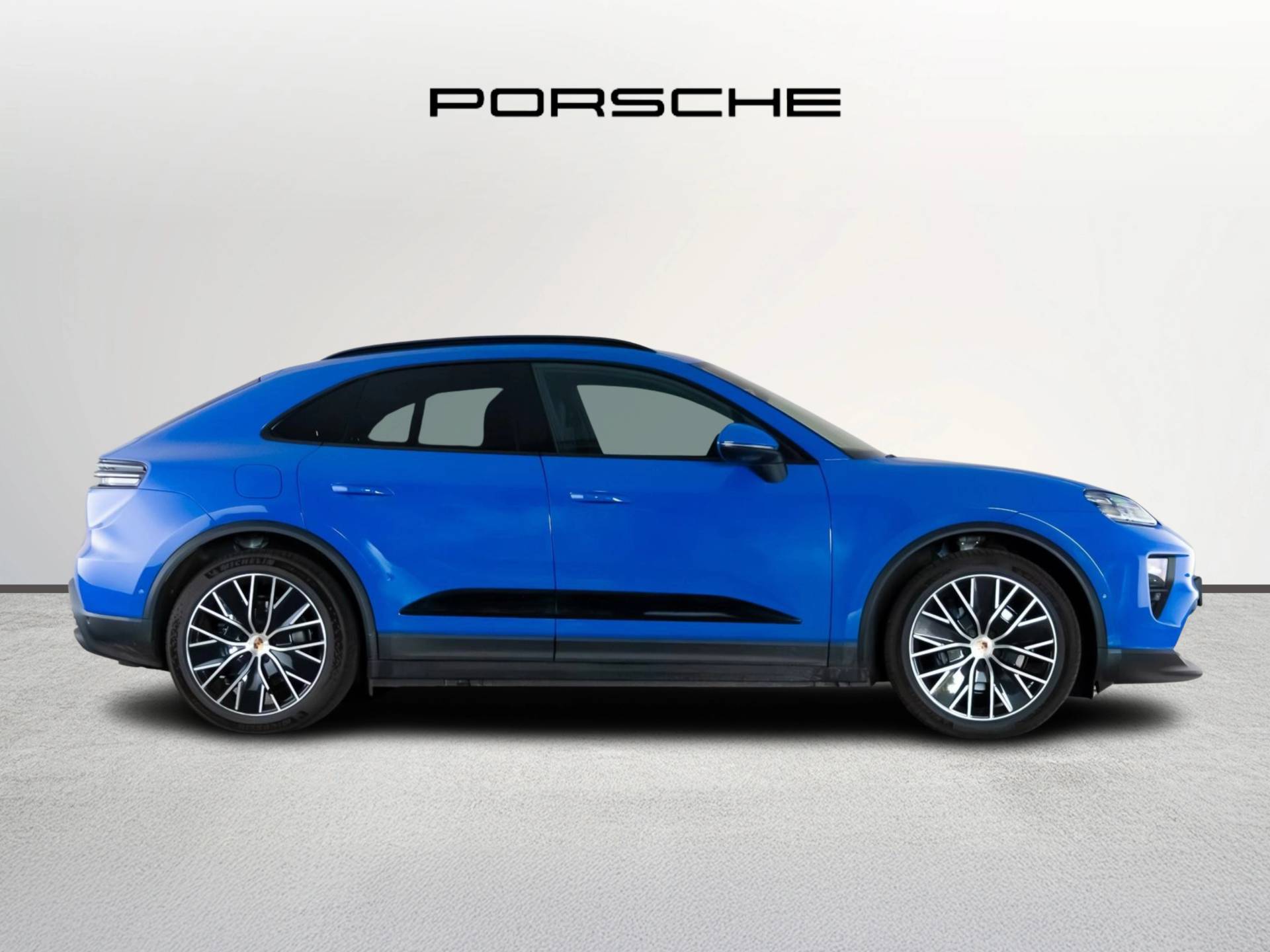 Macan, photo 2 of 41