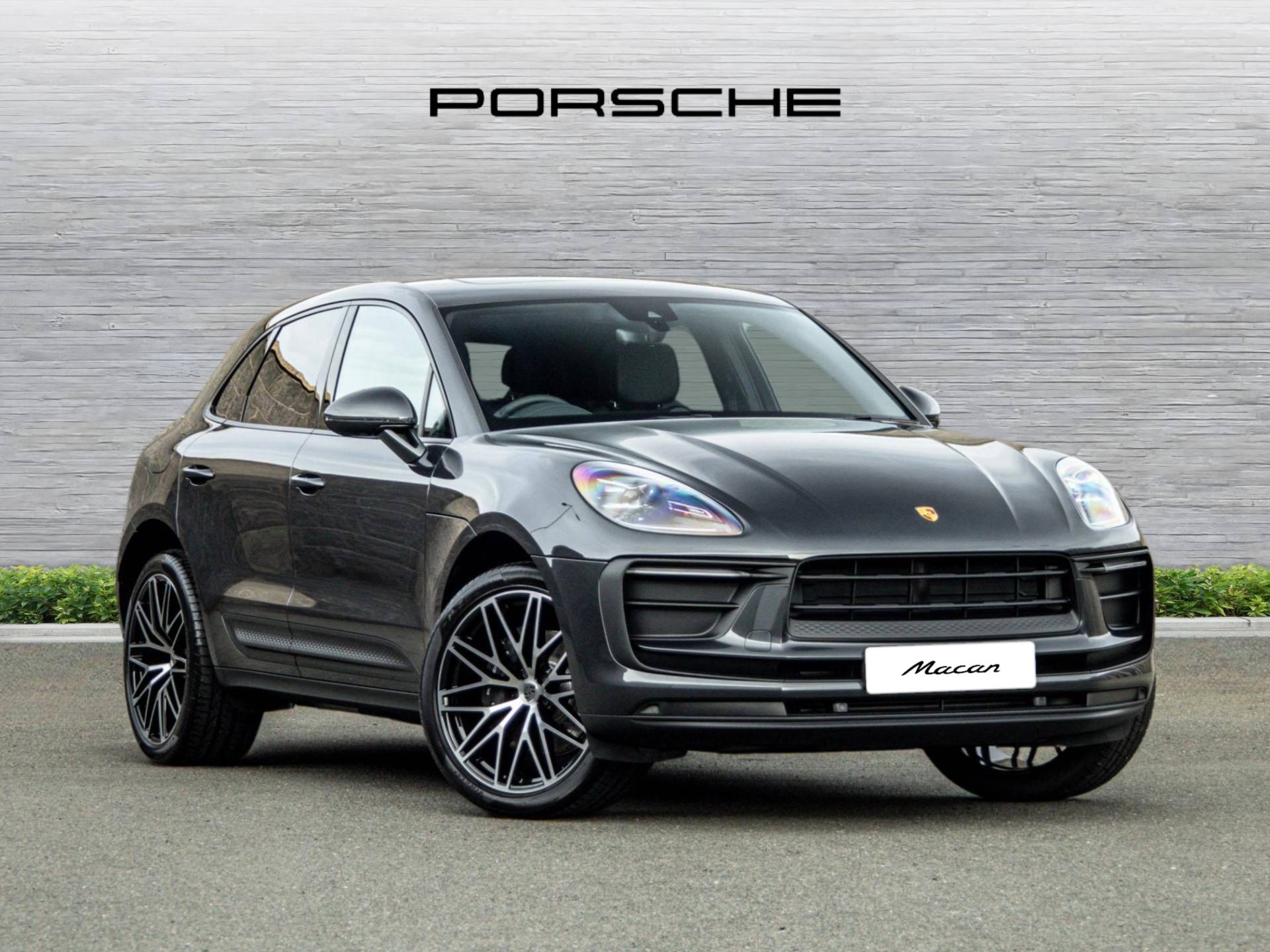 Macan, photo 1 of 41