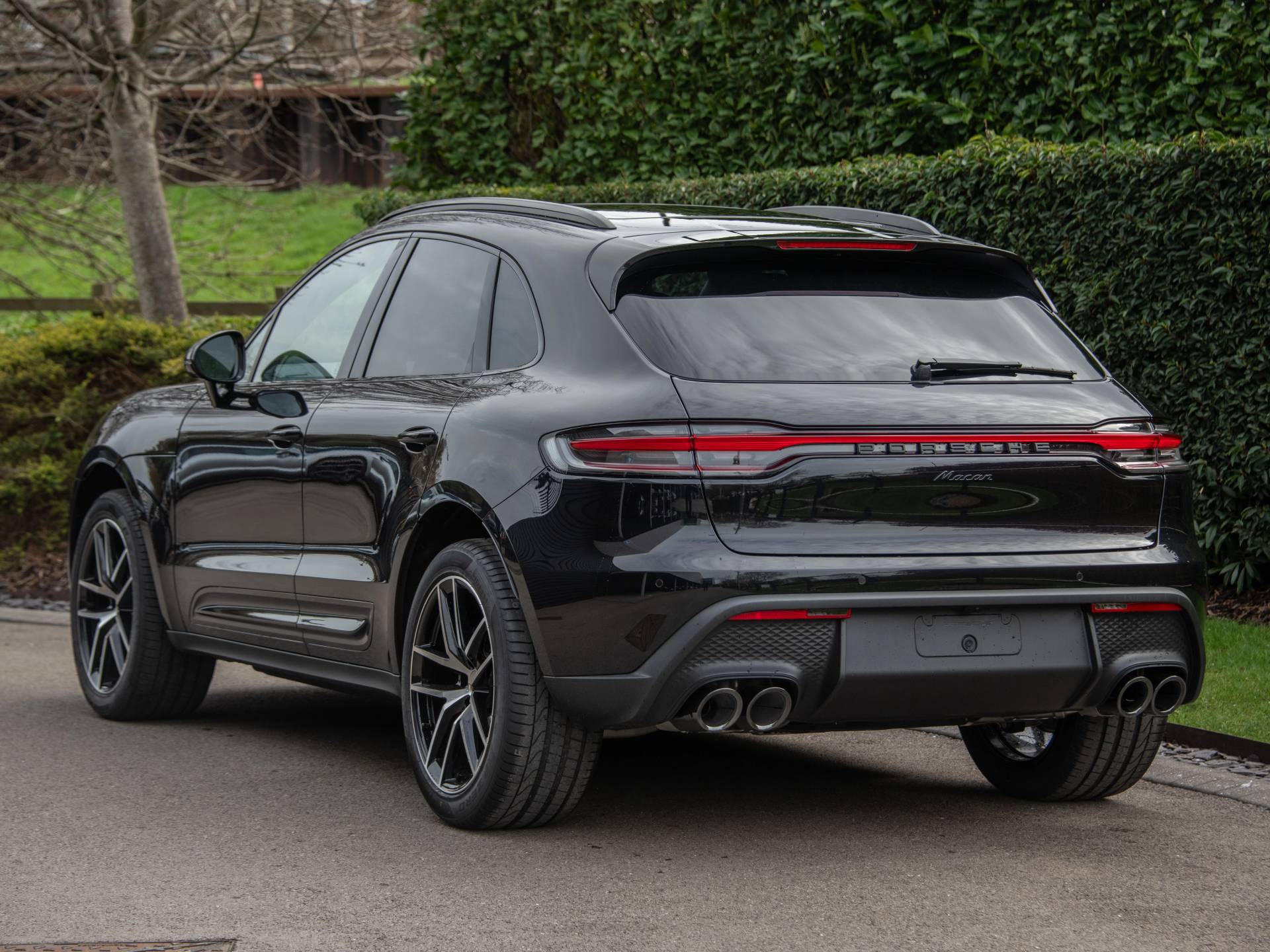 Macan, photo 65 of 65