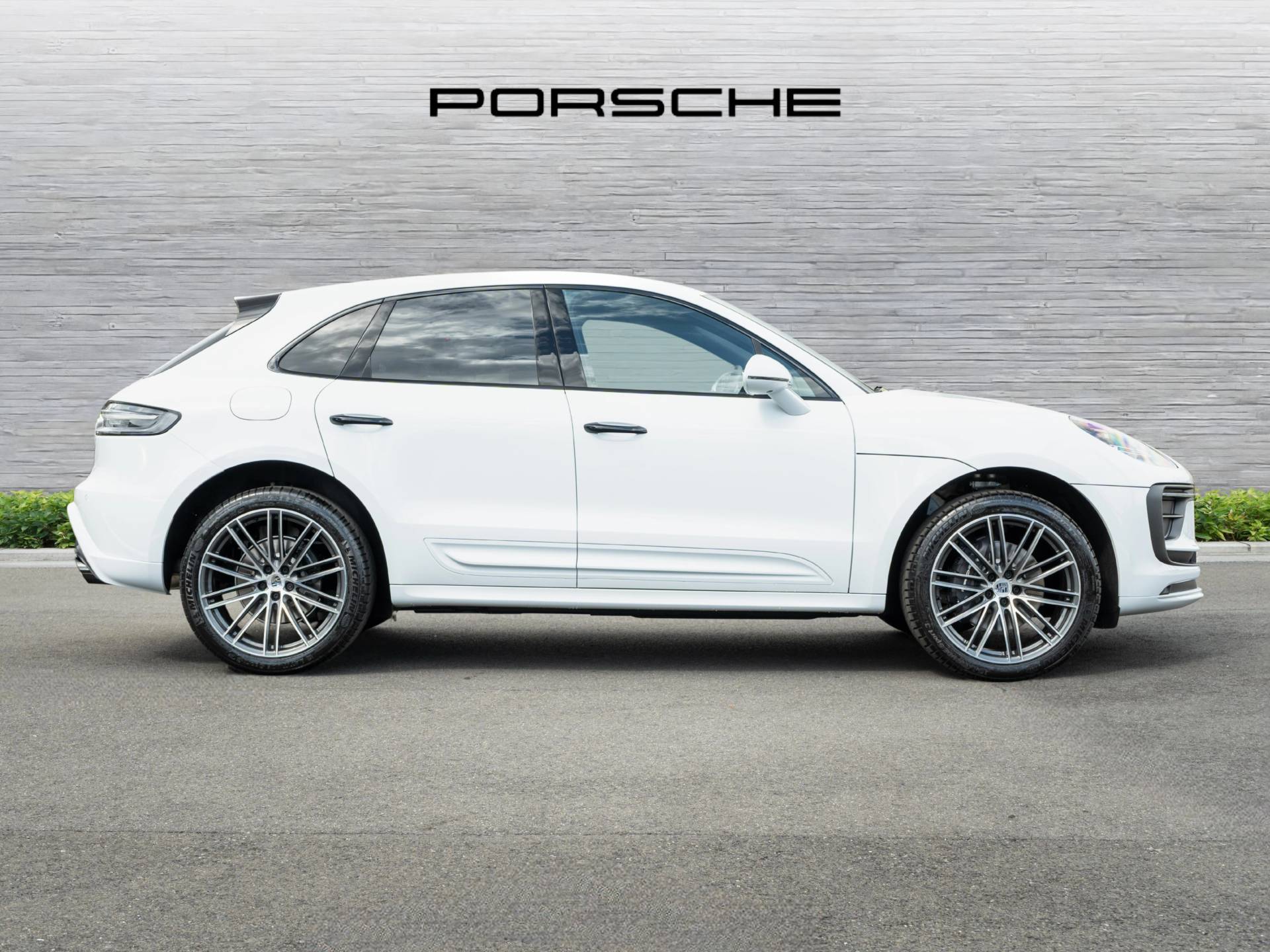 Macan, photo 2 of 49