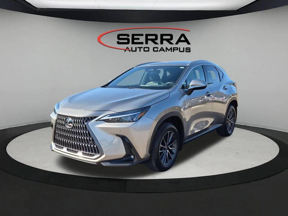 2024 Lexus NX