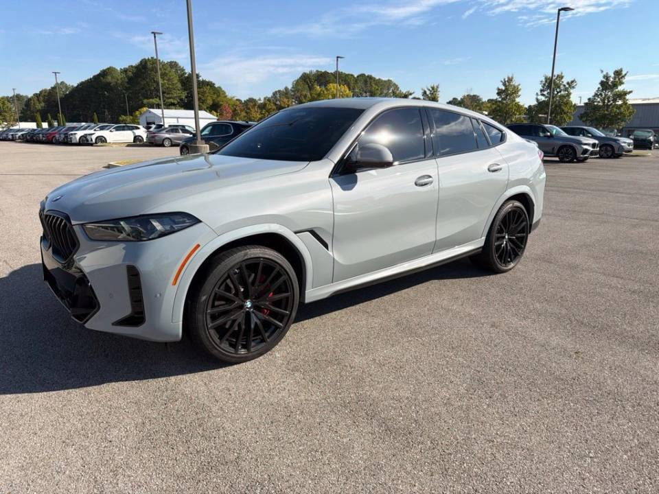 2024 BMW X6