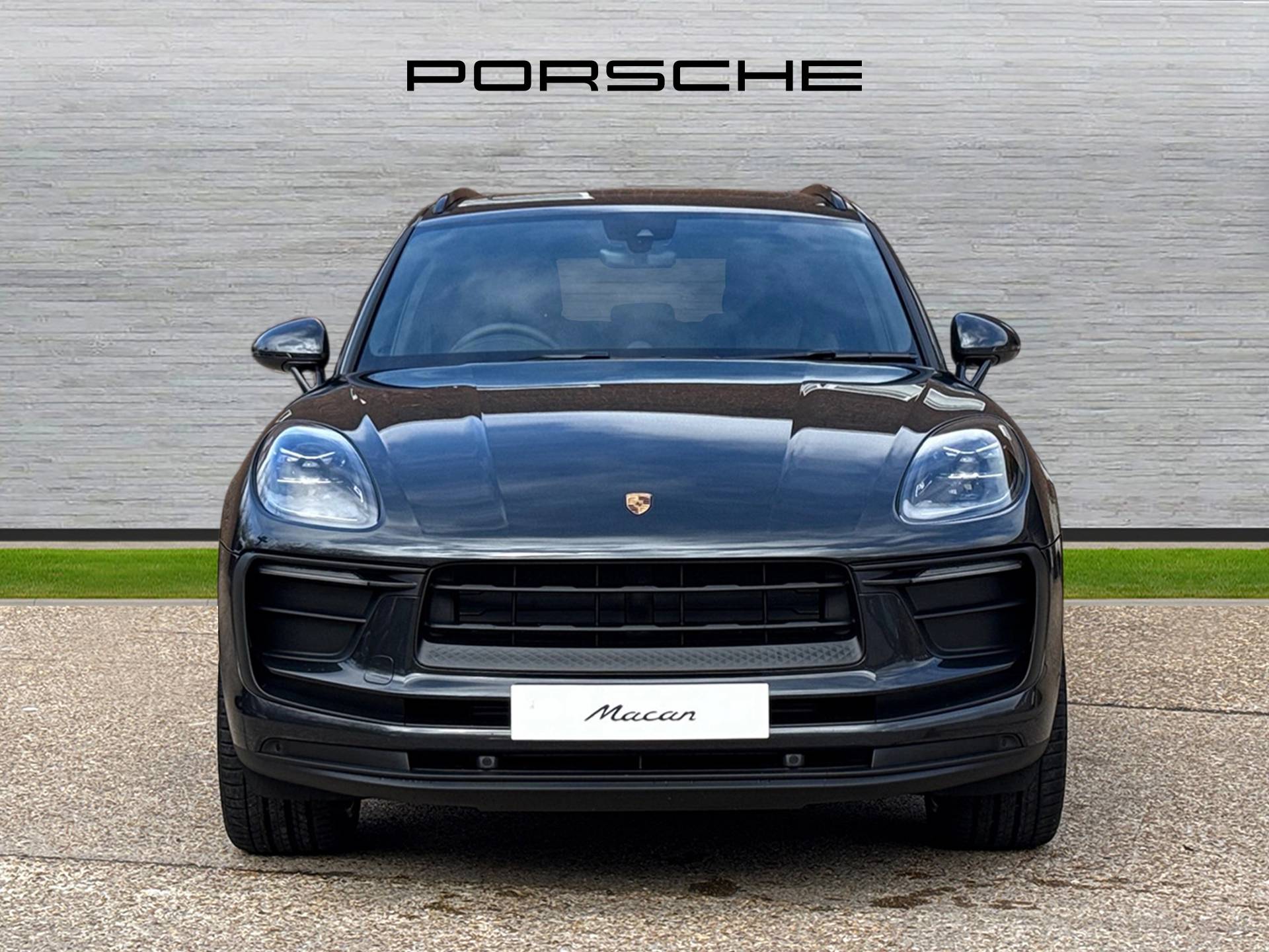 Macan, photo 2 of 39