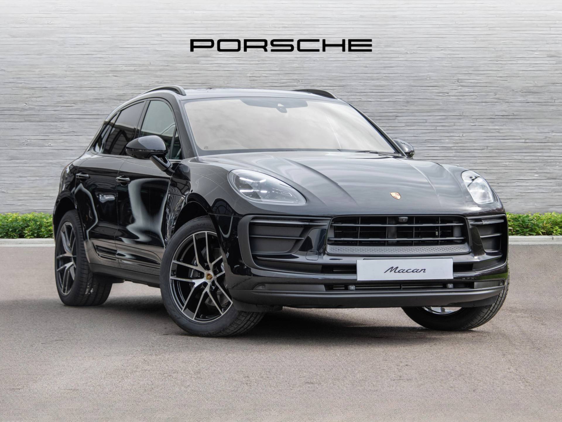 Macan, photo 1 of 65