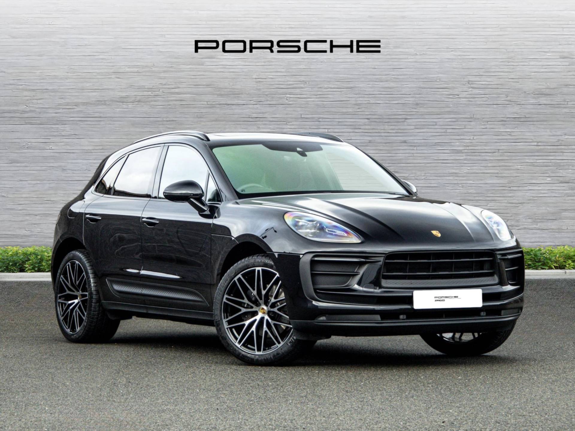Macan, photo 1 of 42