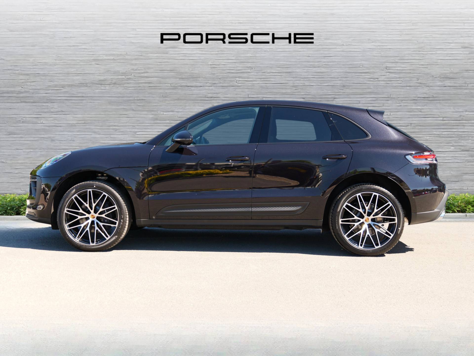 Macan, photo 2 of 34