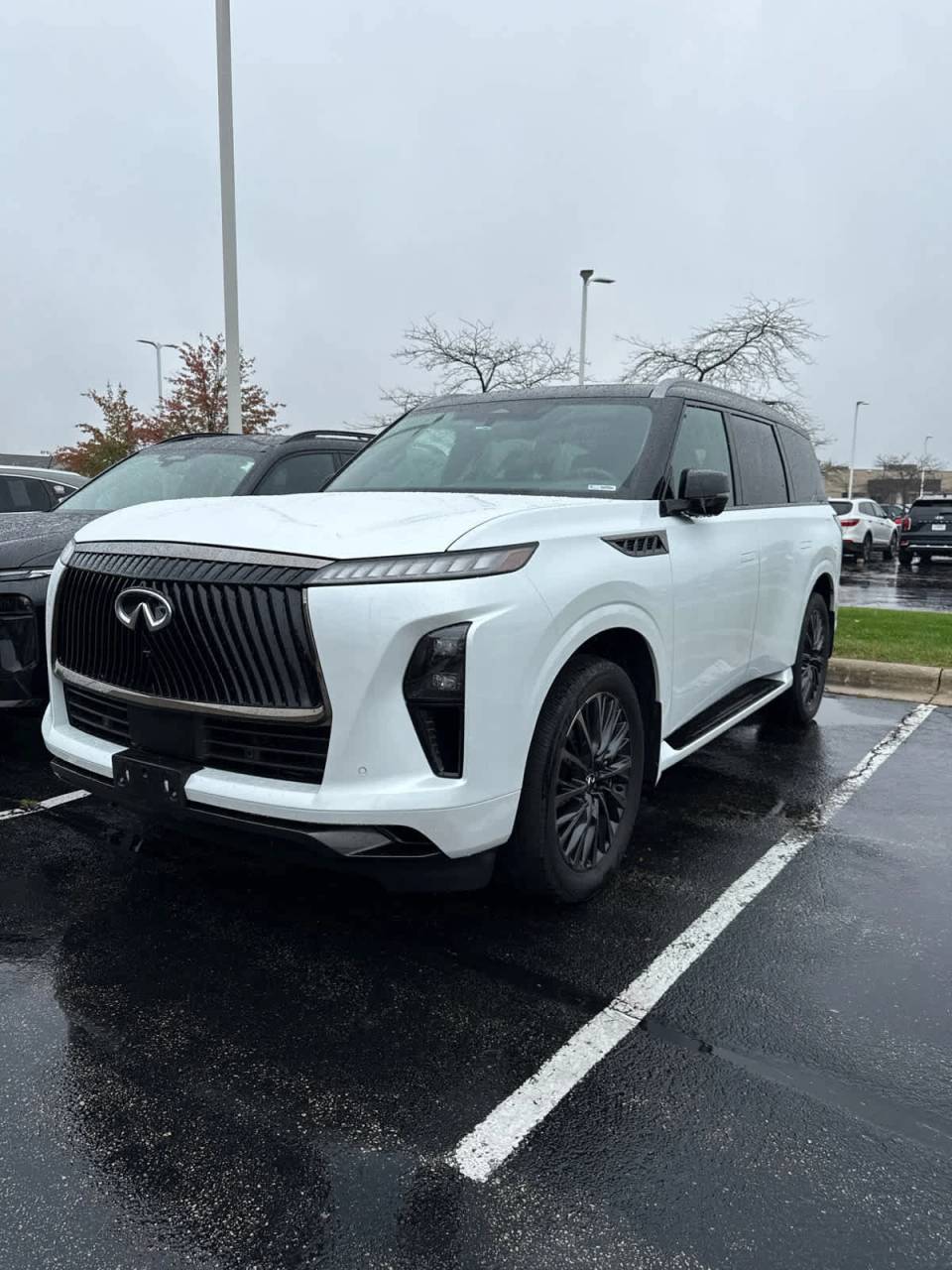 2025 INFINITI QX80