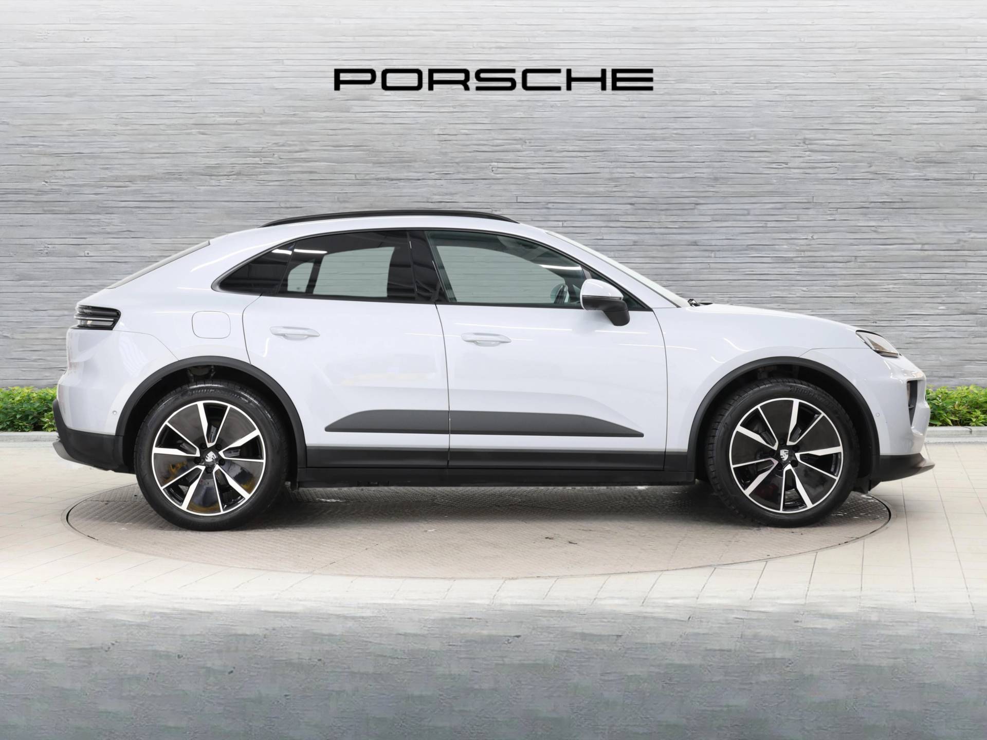 Macan 4, photo 2 of 47