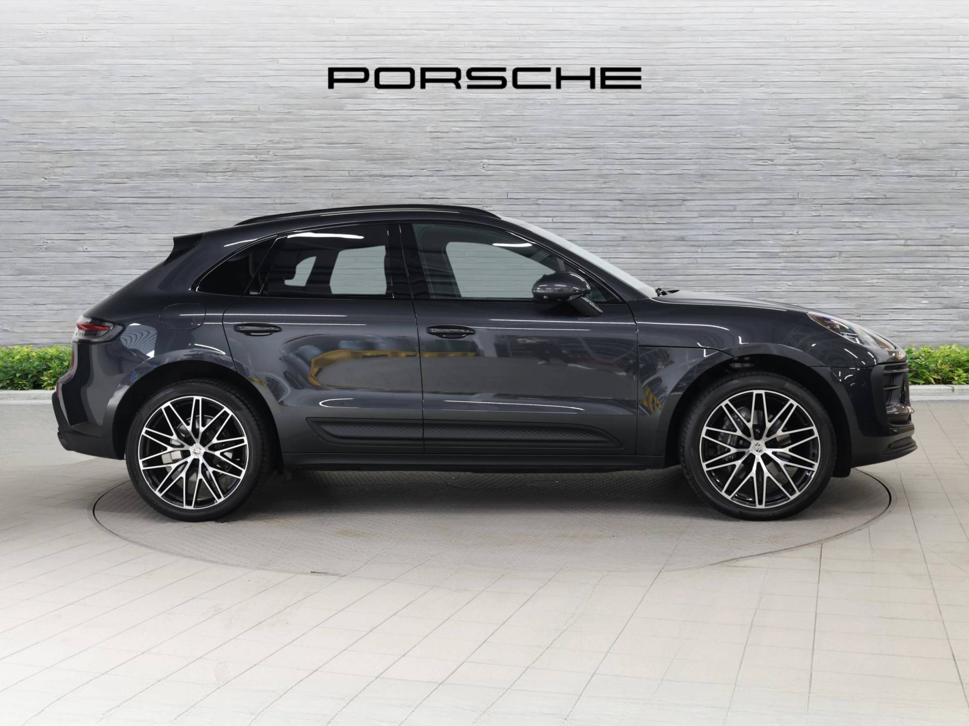 Macan, photo 2 of 53