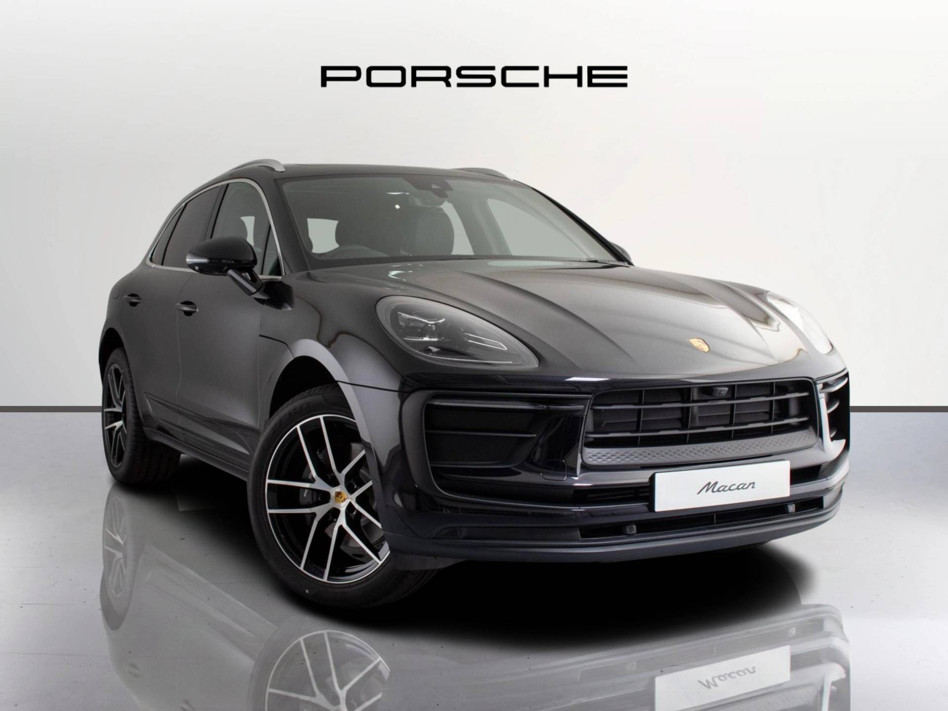Macan, photo 1 of 49