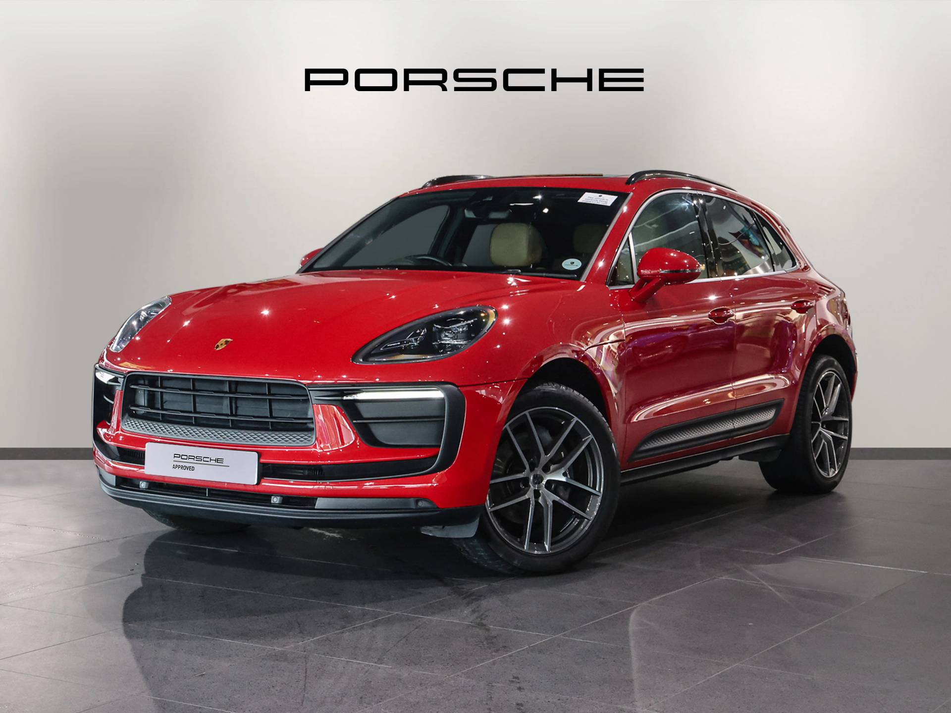 Macan, photo 2 of 30