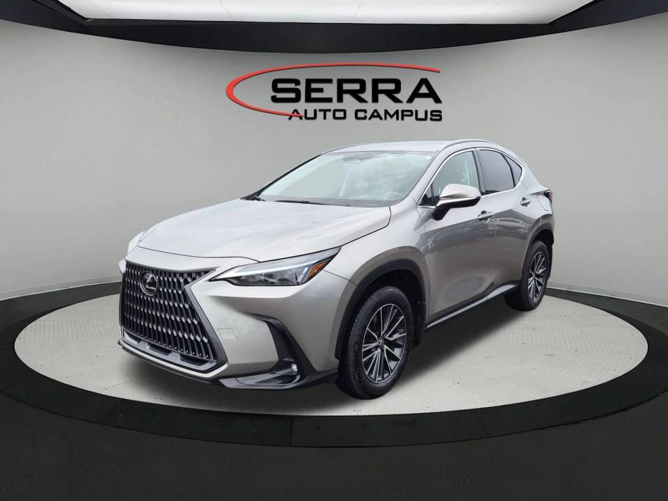 2024 Lexus NX