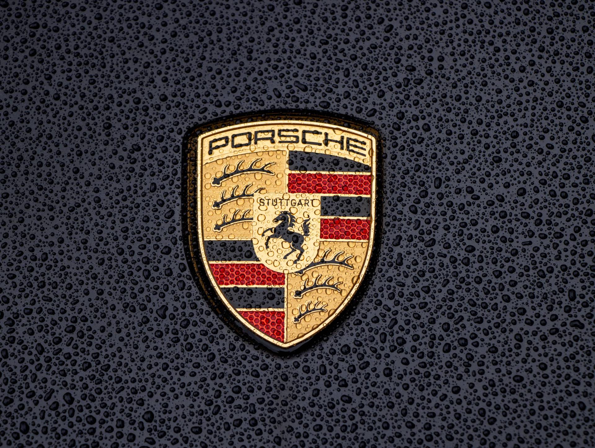 911 Carrera S, photo 31 of 31