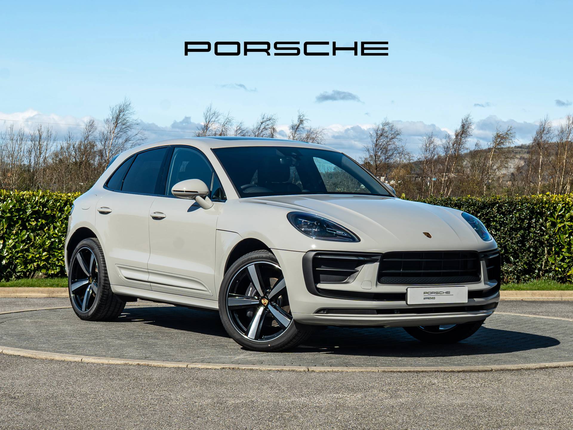 Macan, photo 1 of 43