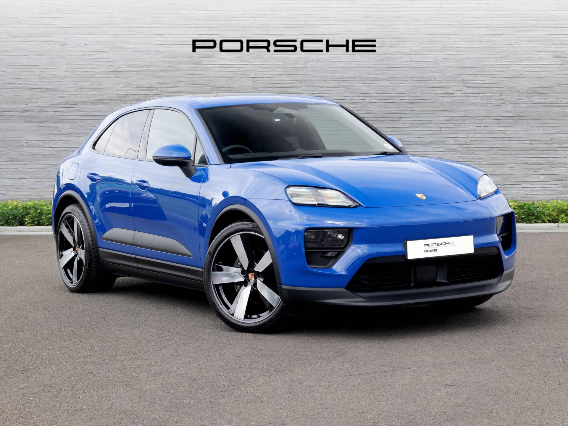 Macan 4, photo 1 of 82