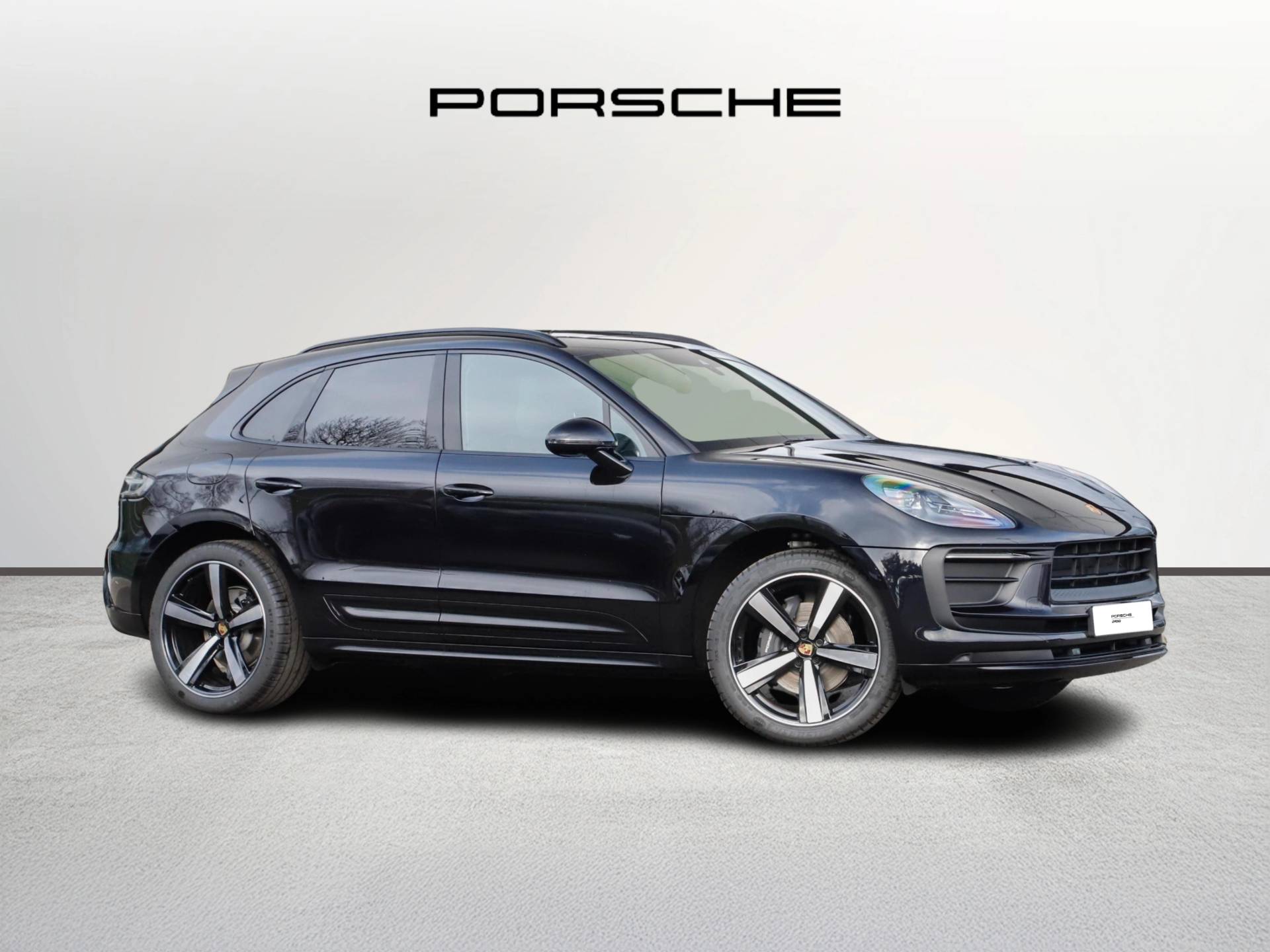 Macan, photo 1 of 42