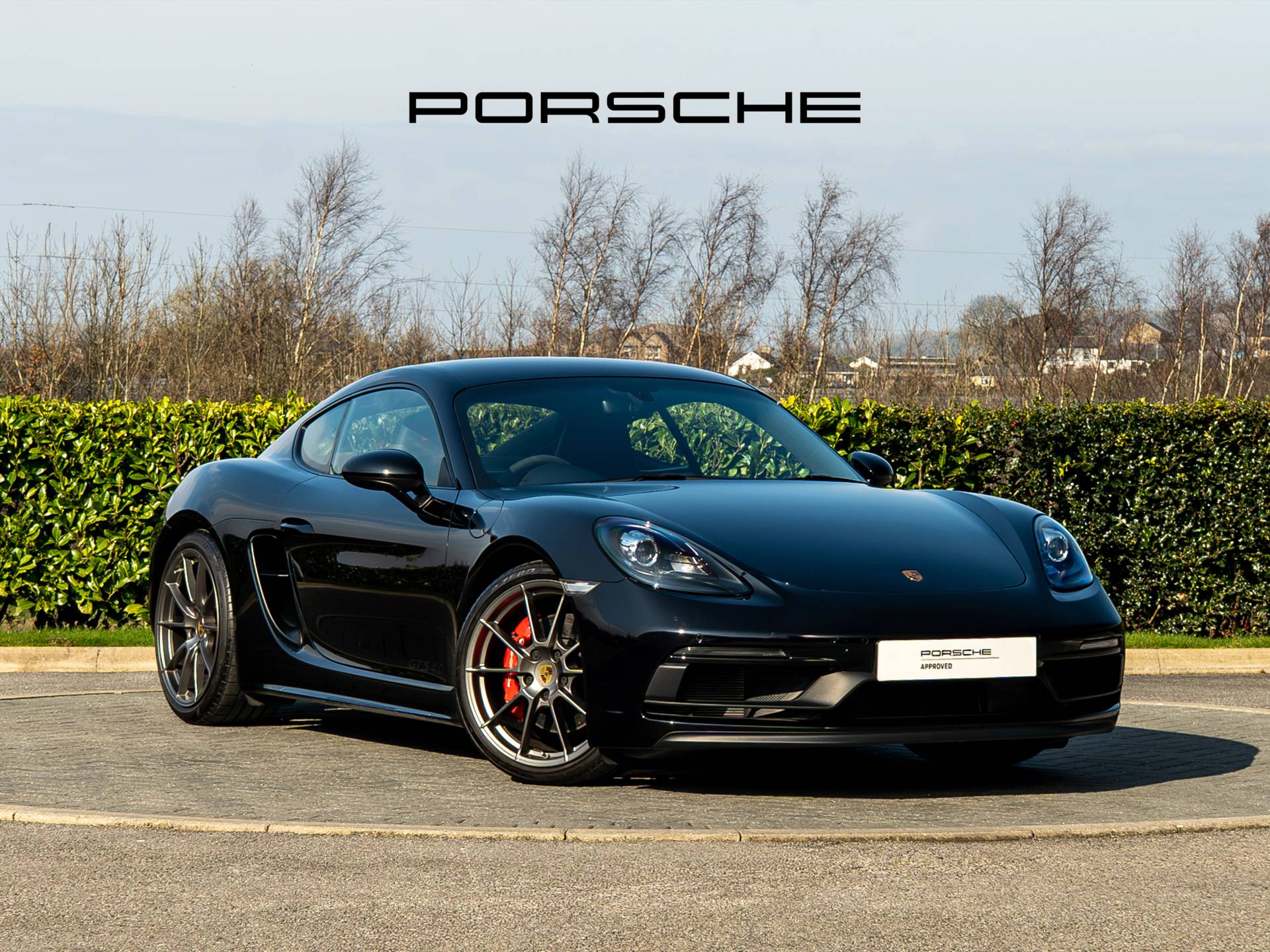 718 Cayman GTS 4.0, photo 1 of 40