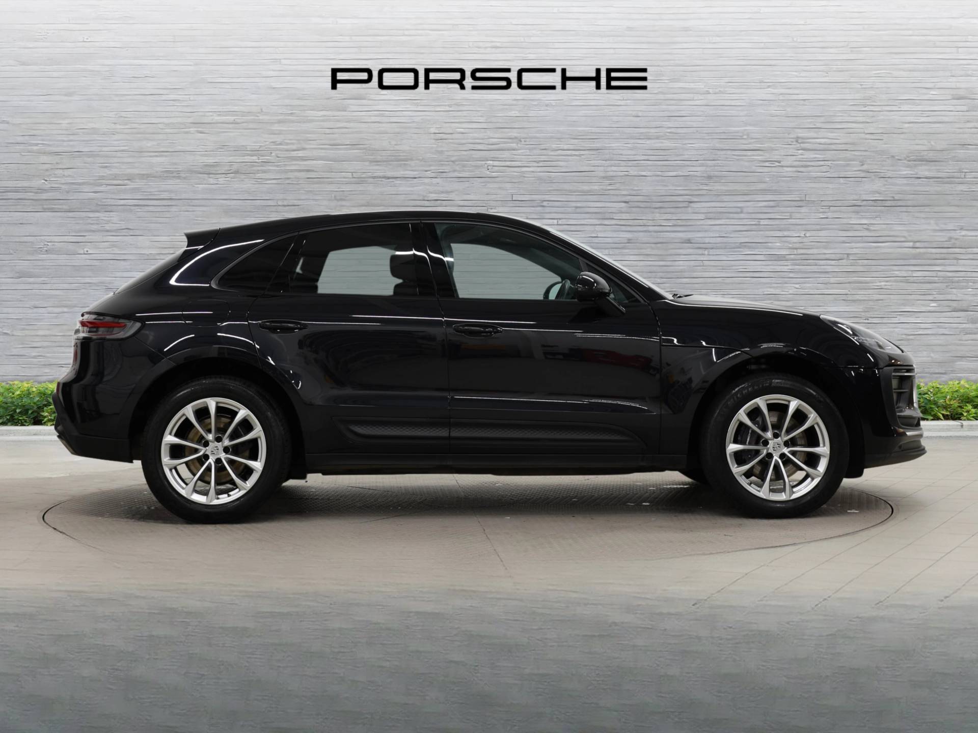 Macan, photo 2 of 39