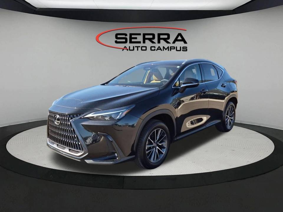 2025 Lexus NX 250
