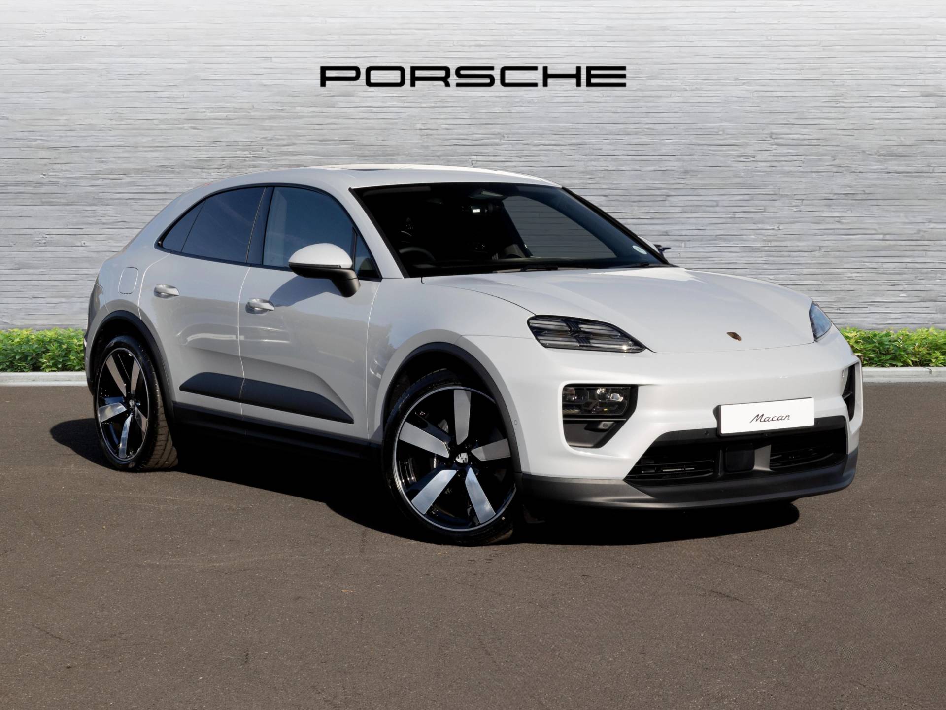 Macan 4, photo 1 of 91